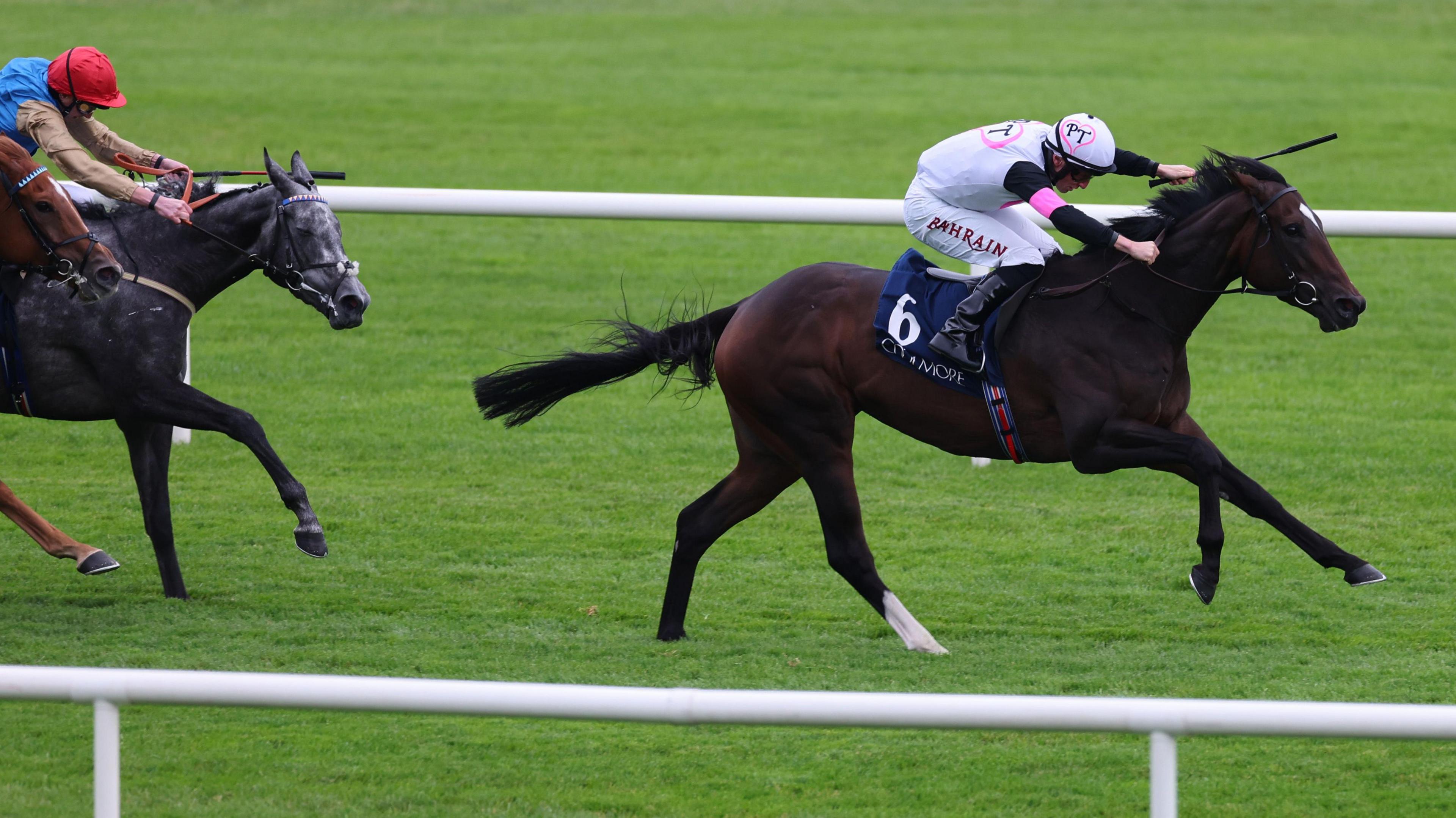 Porta Fortuna is expected to make the trip to Del Mar for the Breeders' Cup Mile