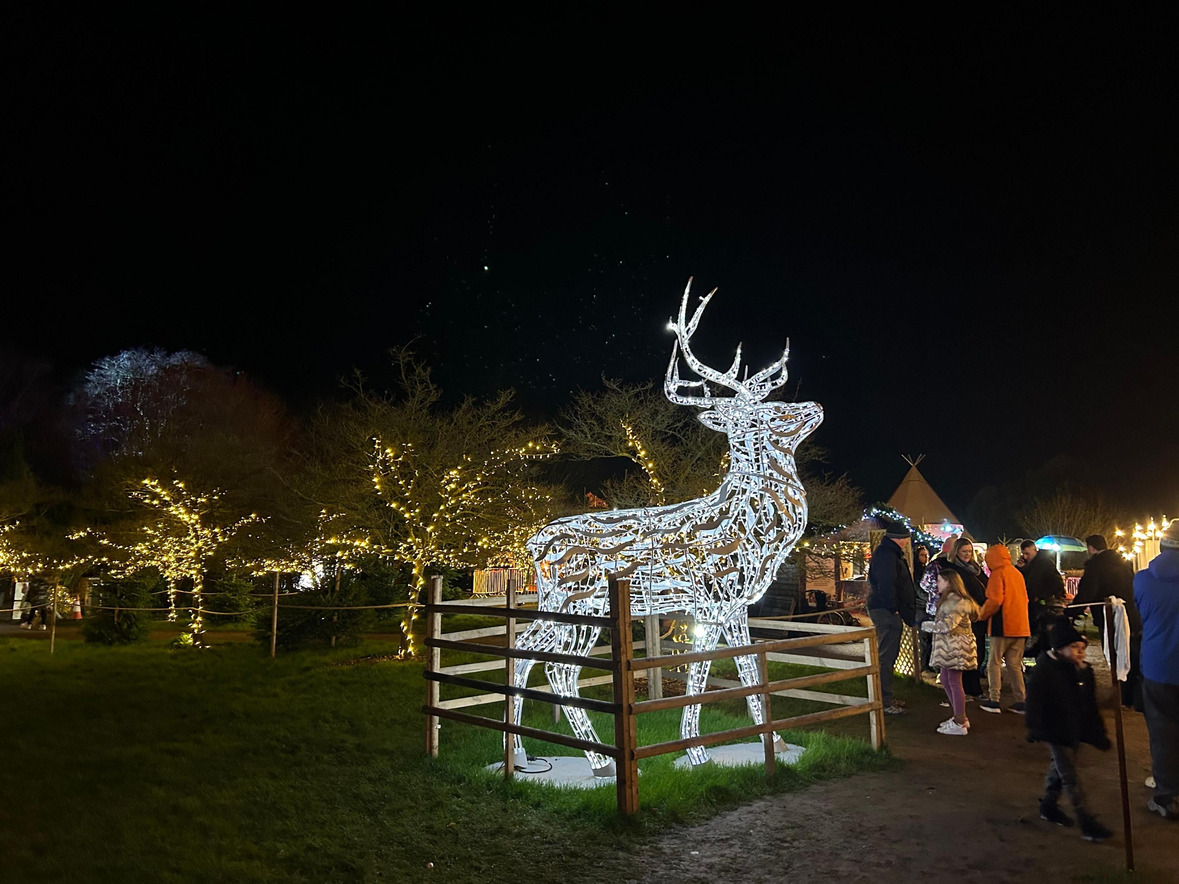 An illuminated wire mesh sculpture of a deer with antlers lit up in white, with trees behind also lit. A number of people are walking past wearing coats.