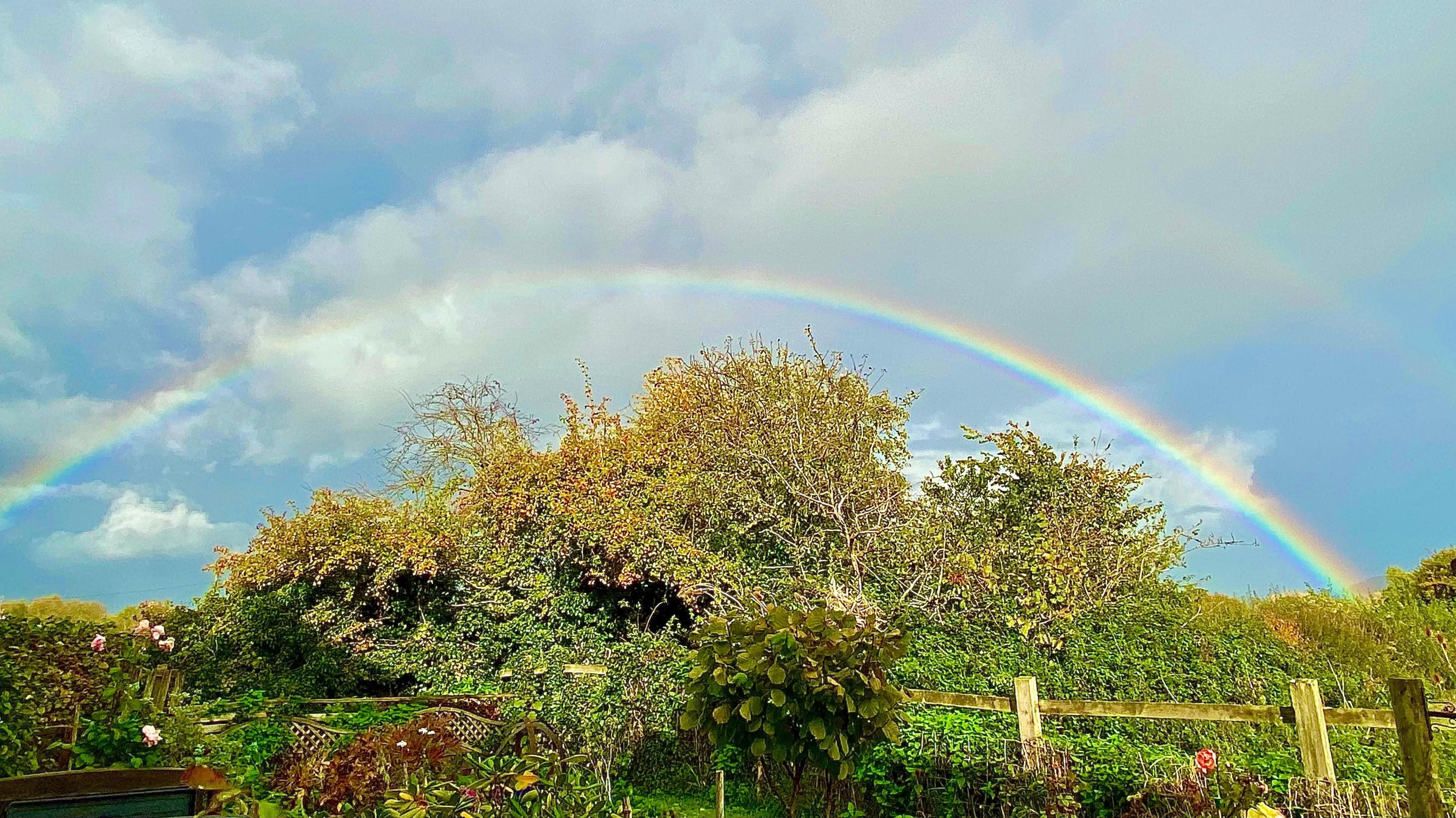 A photo of a rainbow in Berkeley.