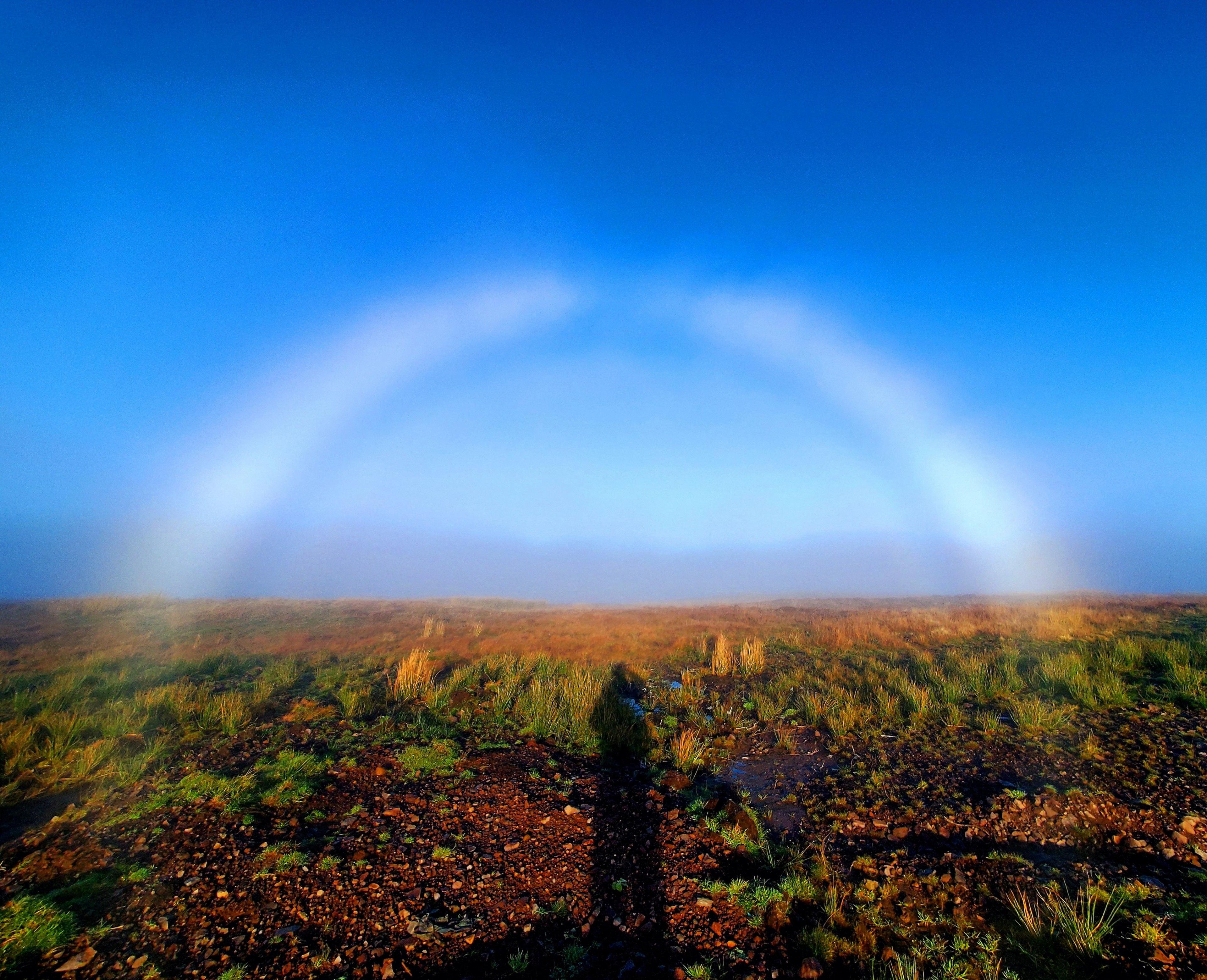 An arch created by the fog