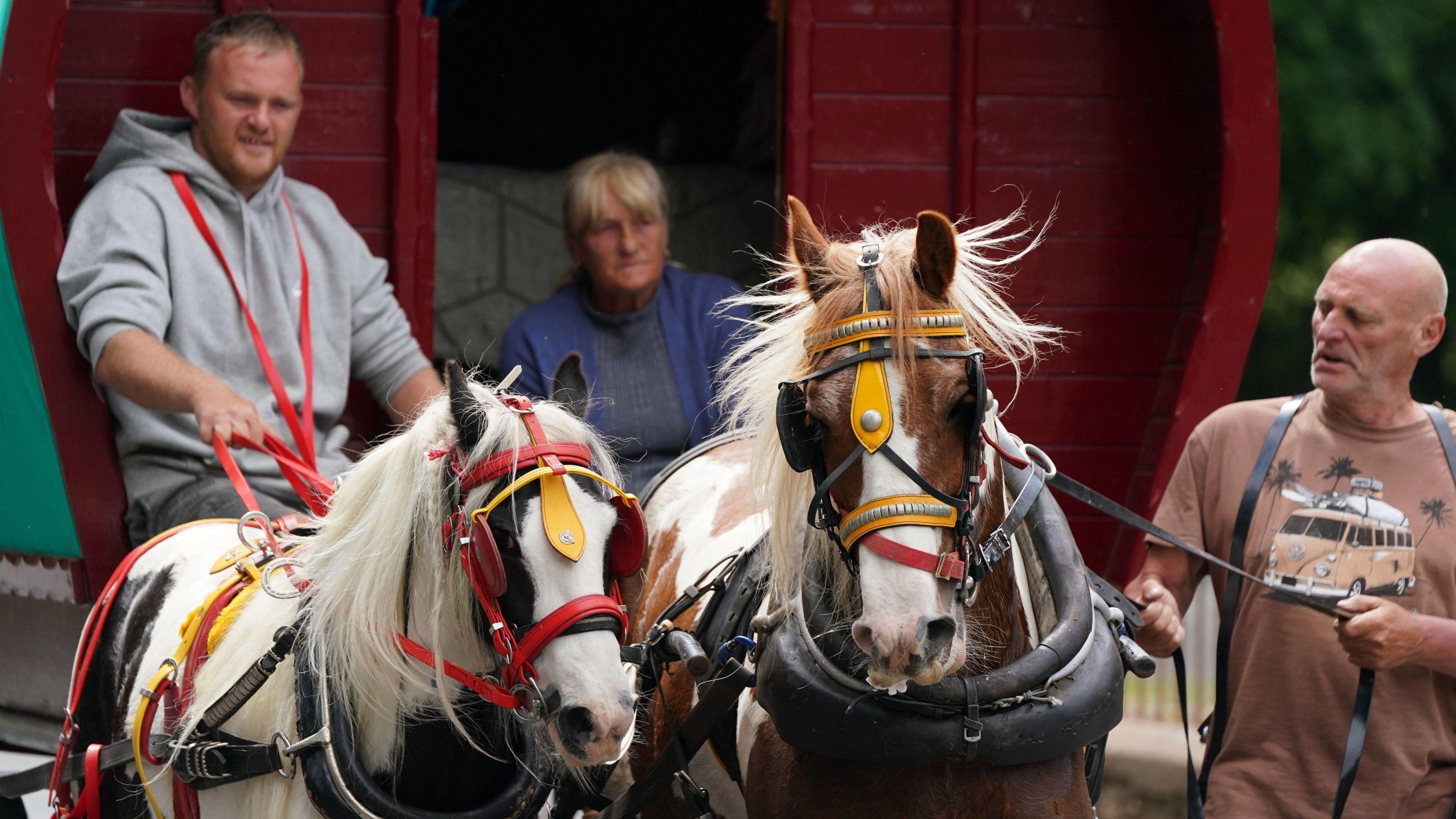 Fair-goers arrive in Cumbria, ahead of the Appleby Horse Fair, the annual gathering of gypsies and travellers. There are three people and two horses in bright yellow and red reins. The picture is from the Fair in 2023.