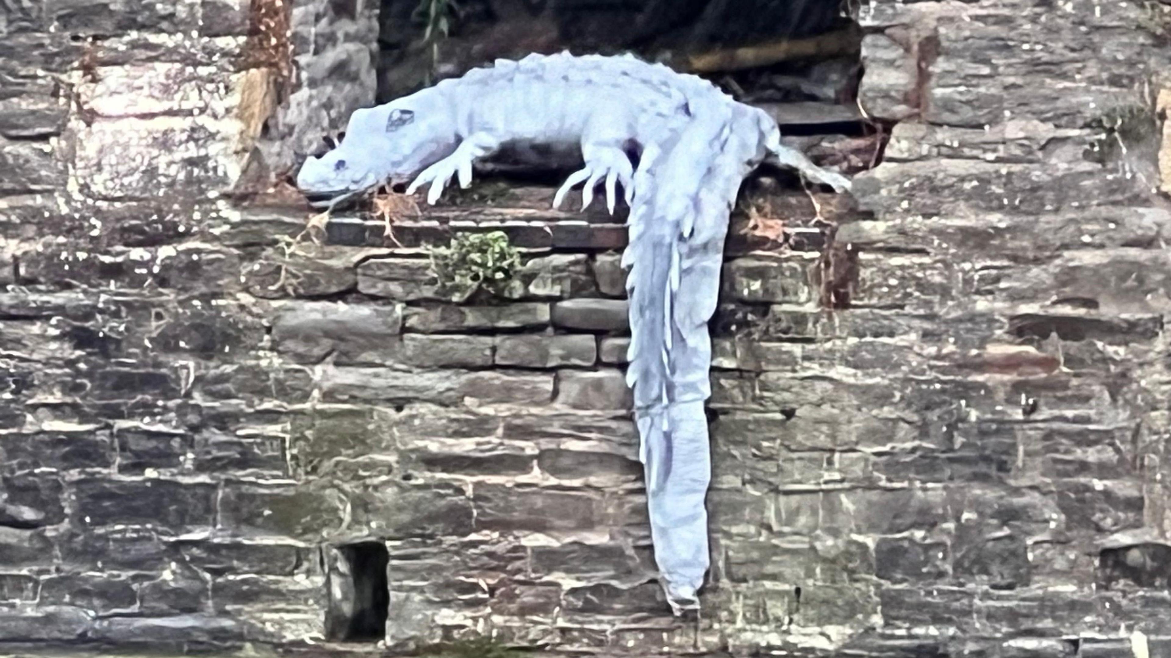 A fake crocodile is placed in an alcove in a stone wall above Bristol's floating harbour, with its tail hanging down