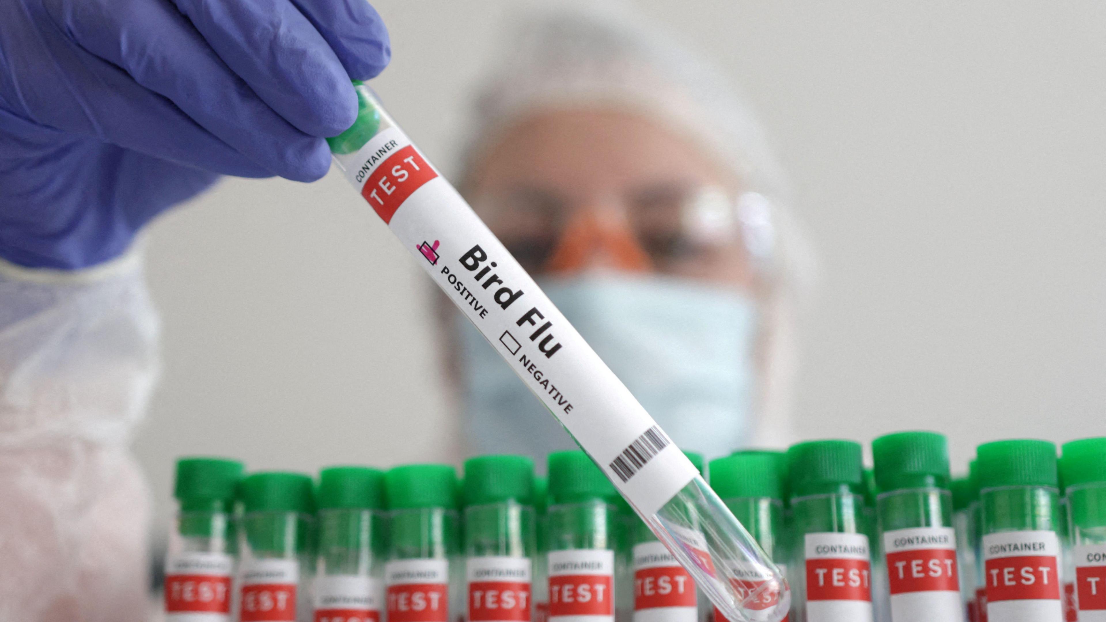 A close-up shot of a test tube with a label on it which reads 'Bird Flu'. It is being held by a scientist