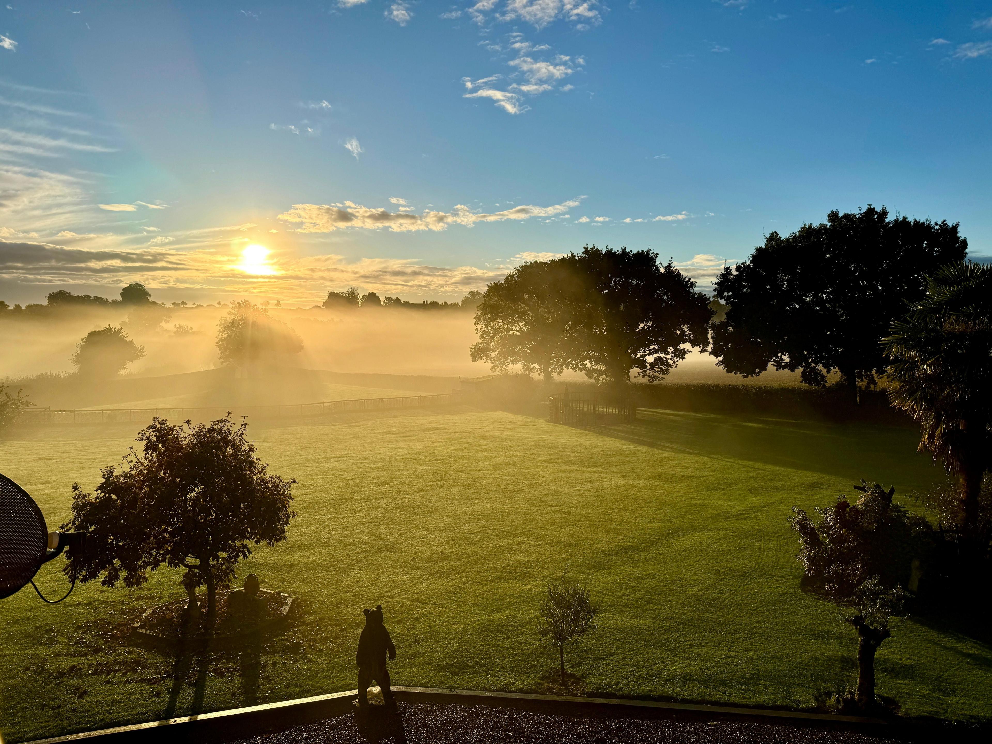 A misty sunrise over a field with trees