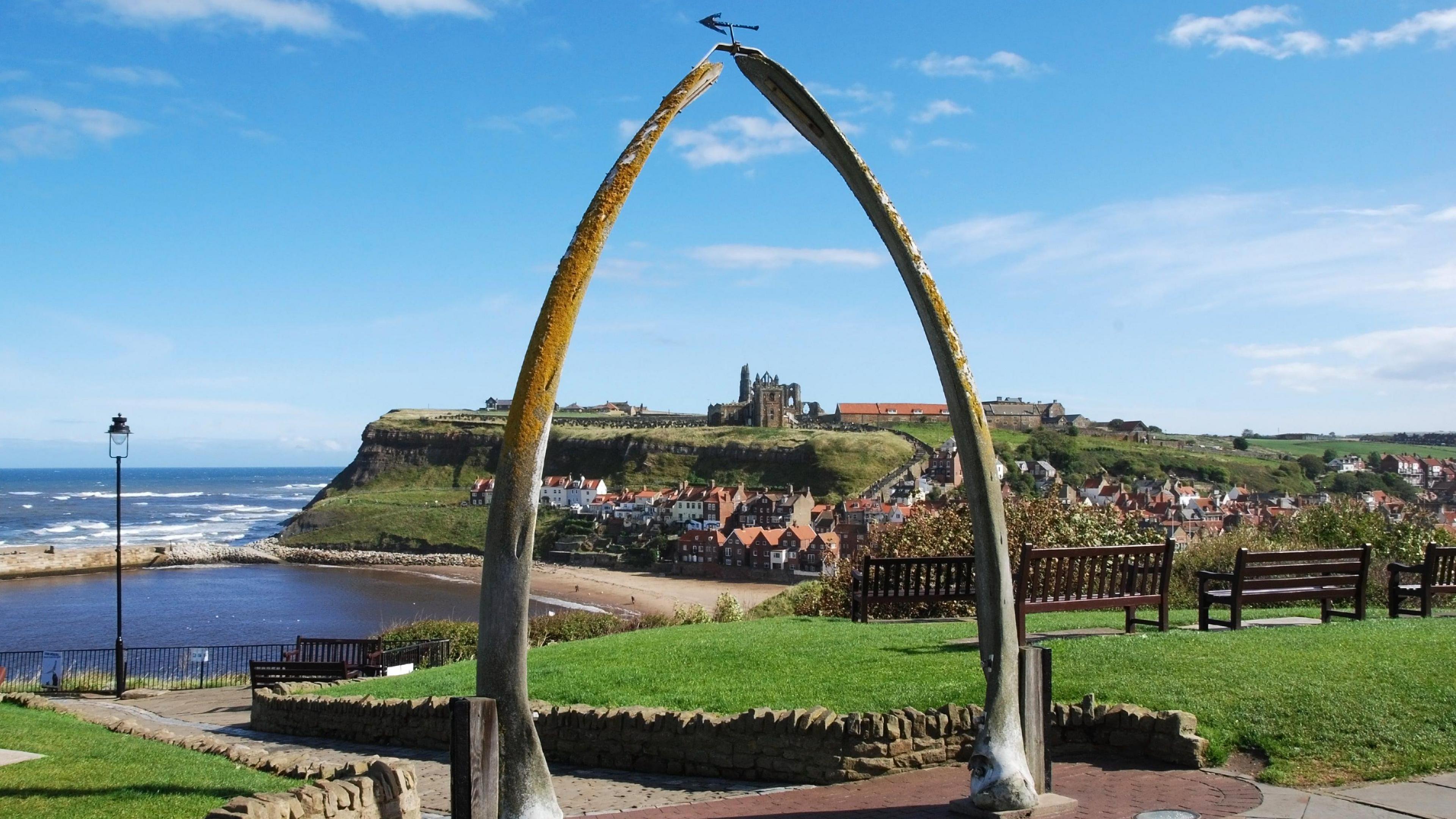 The whale bone arch in Whitby Bay overlooking some grass and the seafront with houses in the foreground 