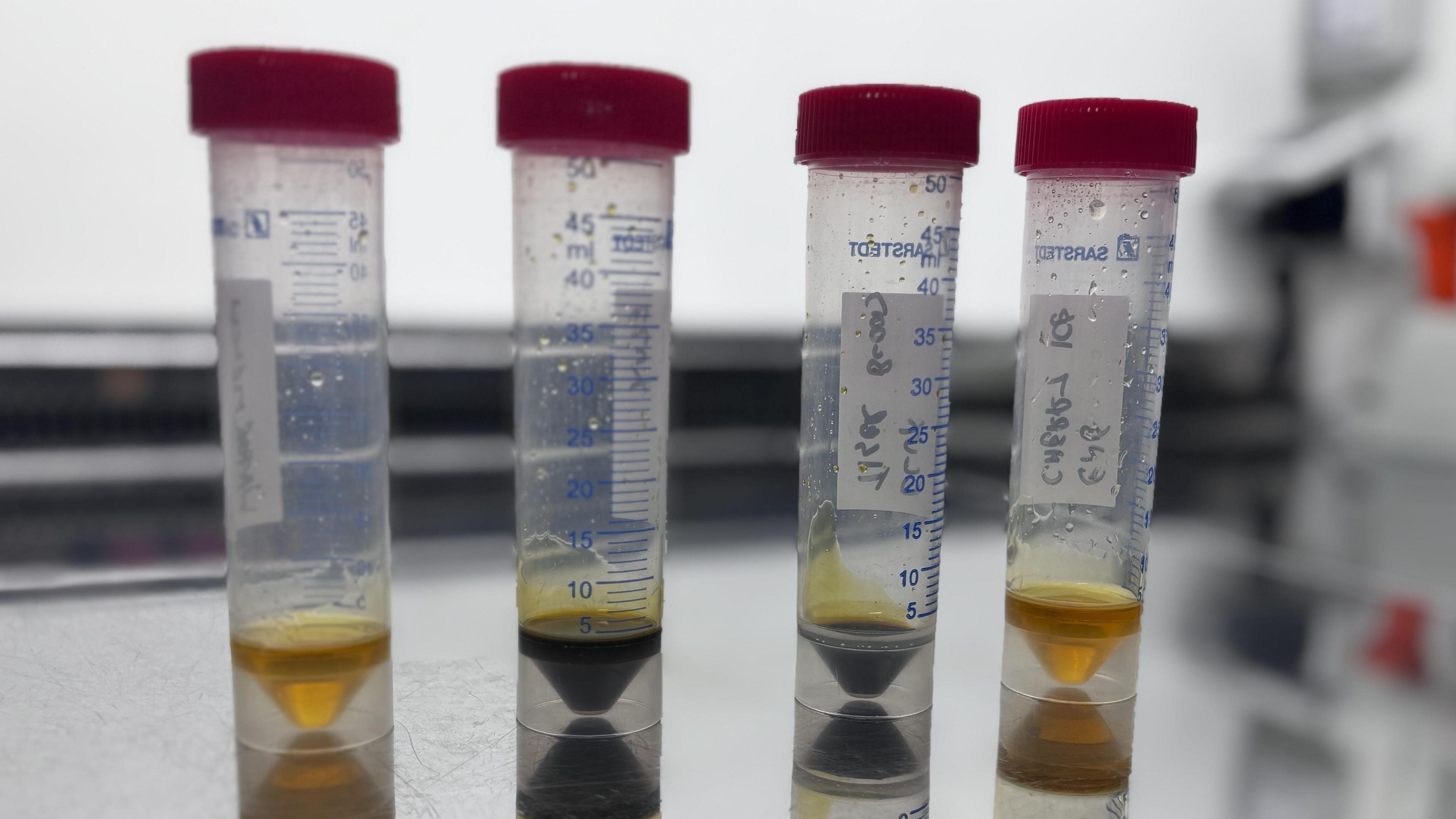 Four test tubes with different coloured liquids in, in a laboratory.