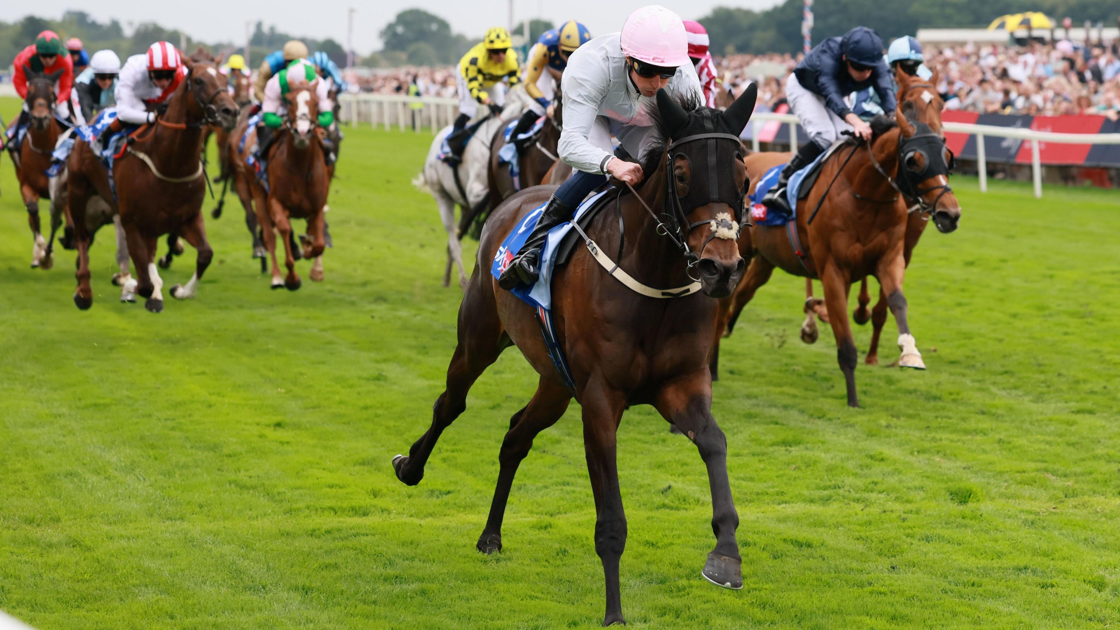 Ethical Diamond wins the Ebor Handicap at York