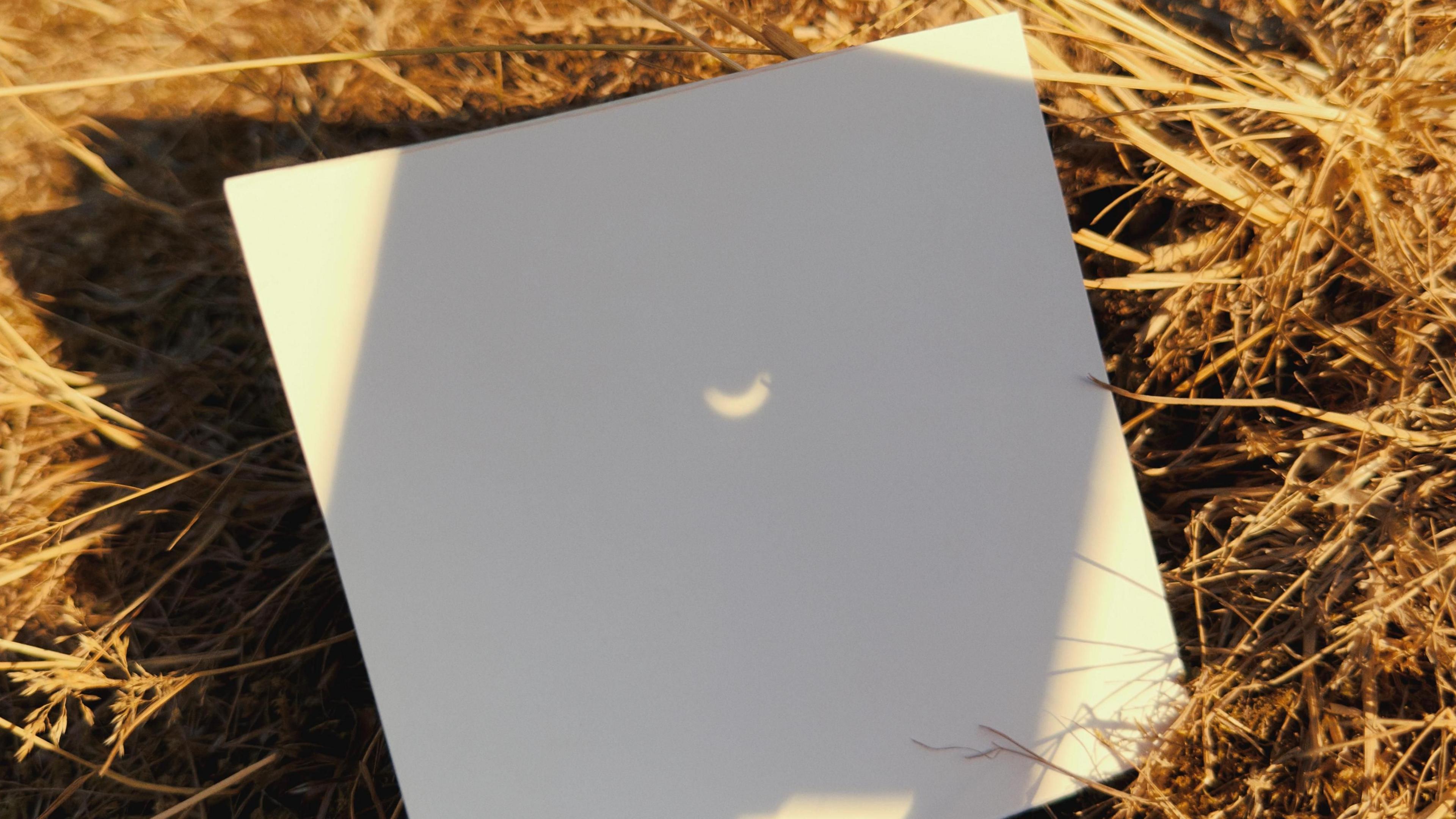 A sheet of white card lies on dry grass in Tunbridge Wells Common, Kent. A small crescent-shaped projection of the partially eclipsed Sun appears on the card, created using a pinhole viewing method.