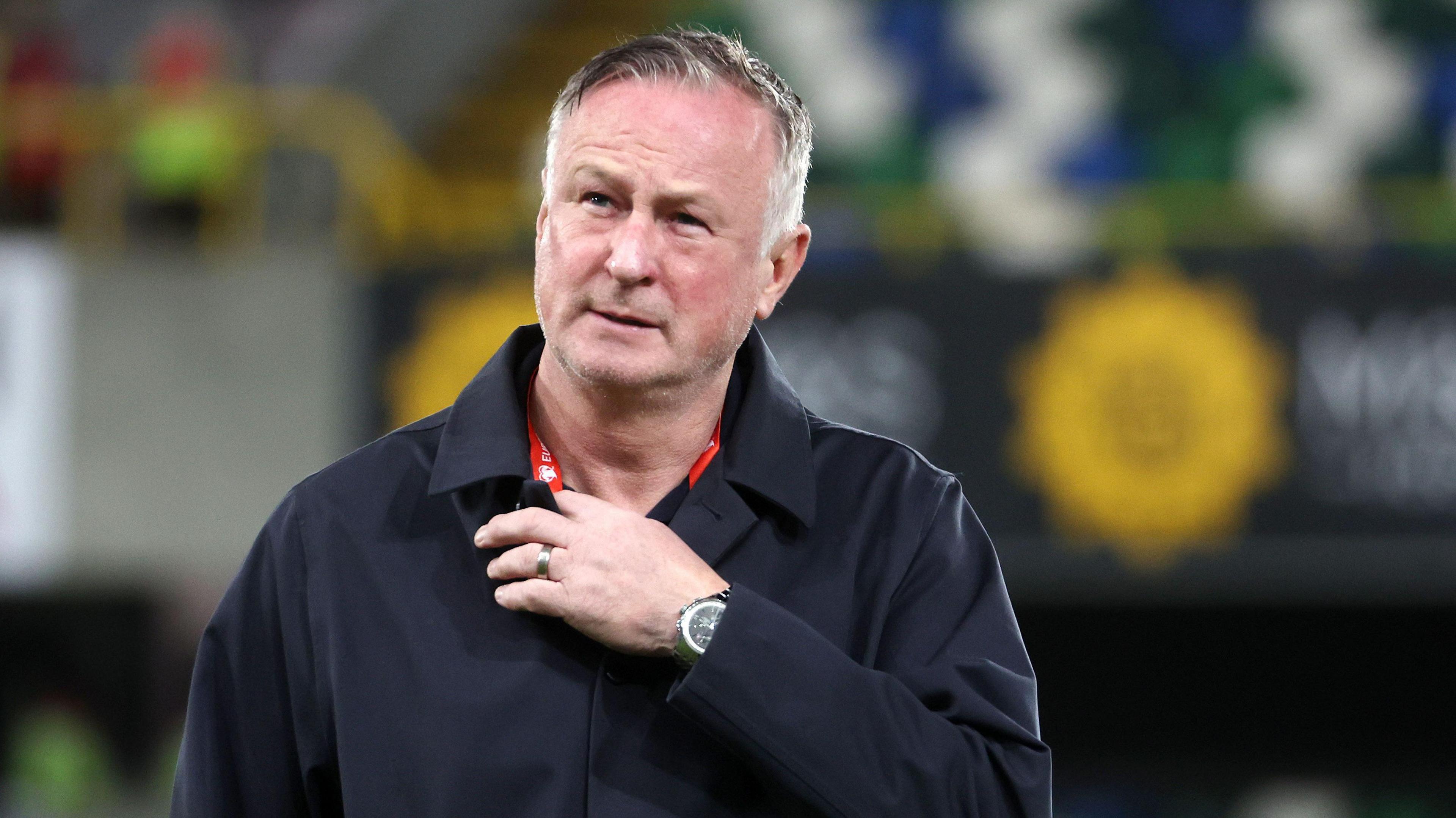 Northern Ireland manager Michael O'Neill