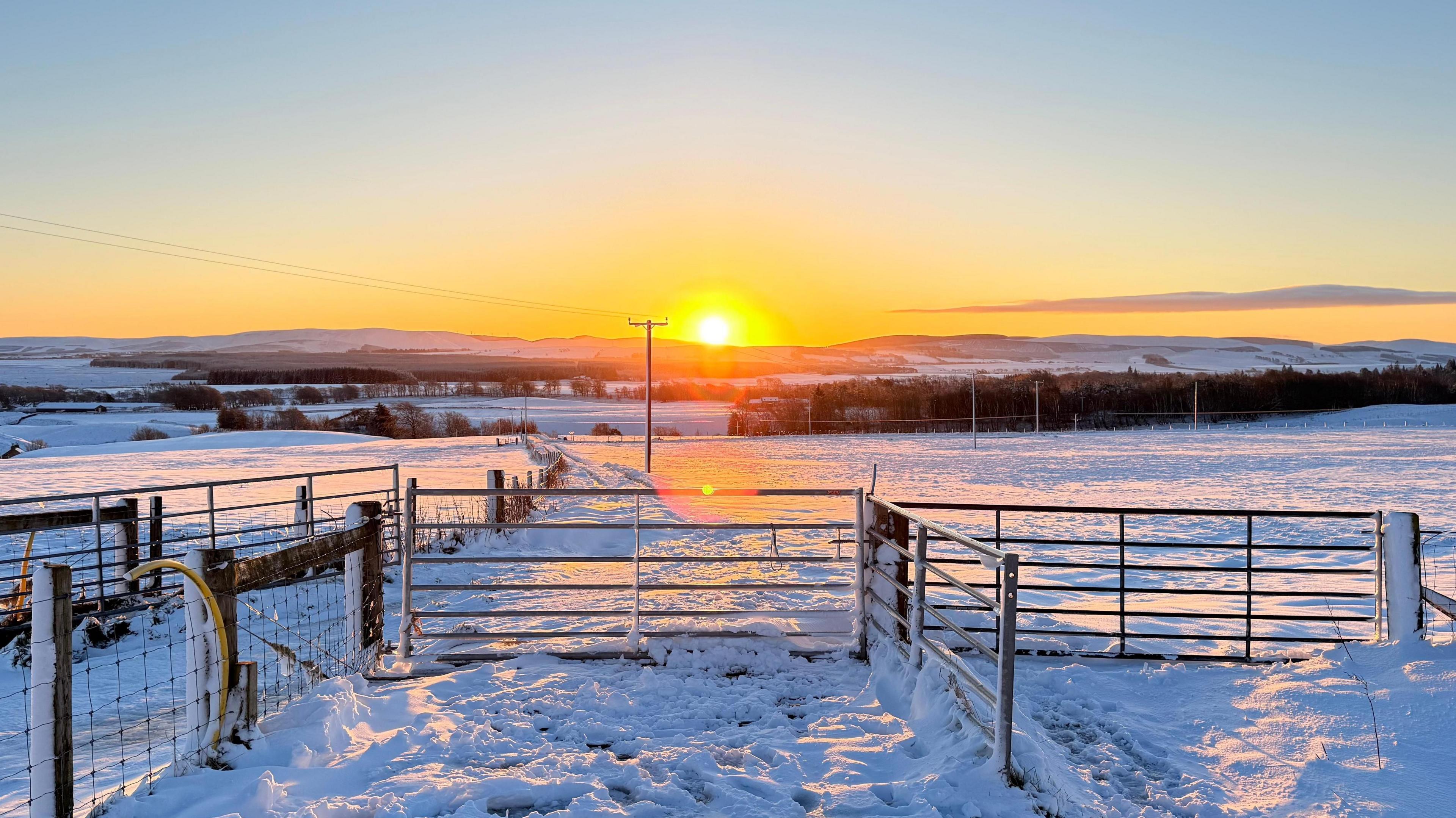 The Sun rises behind snow covered fields with a cattle gate