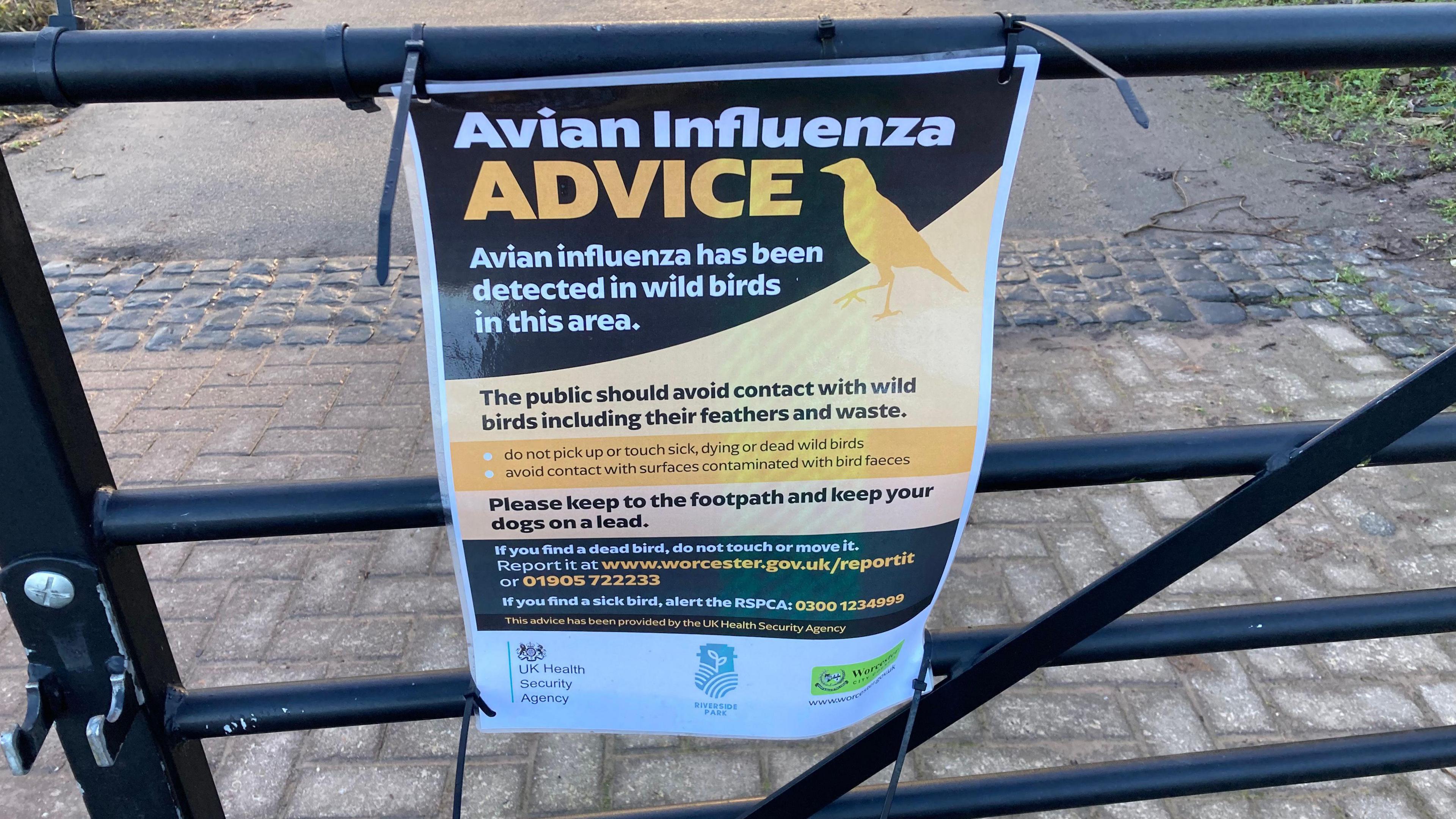 A sign attached to a gate titled "Avian Influenza Advice." It says avian influenza has been detected in wild birds in the area, and advises people to avoid contact with wild birds including their feathers and waste, and to keep their dogs on a lead. Logos of the UK Health Security Agency and Worcester City Council are at the bottom of the sign.