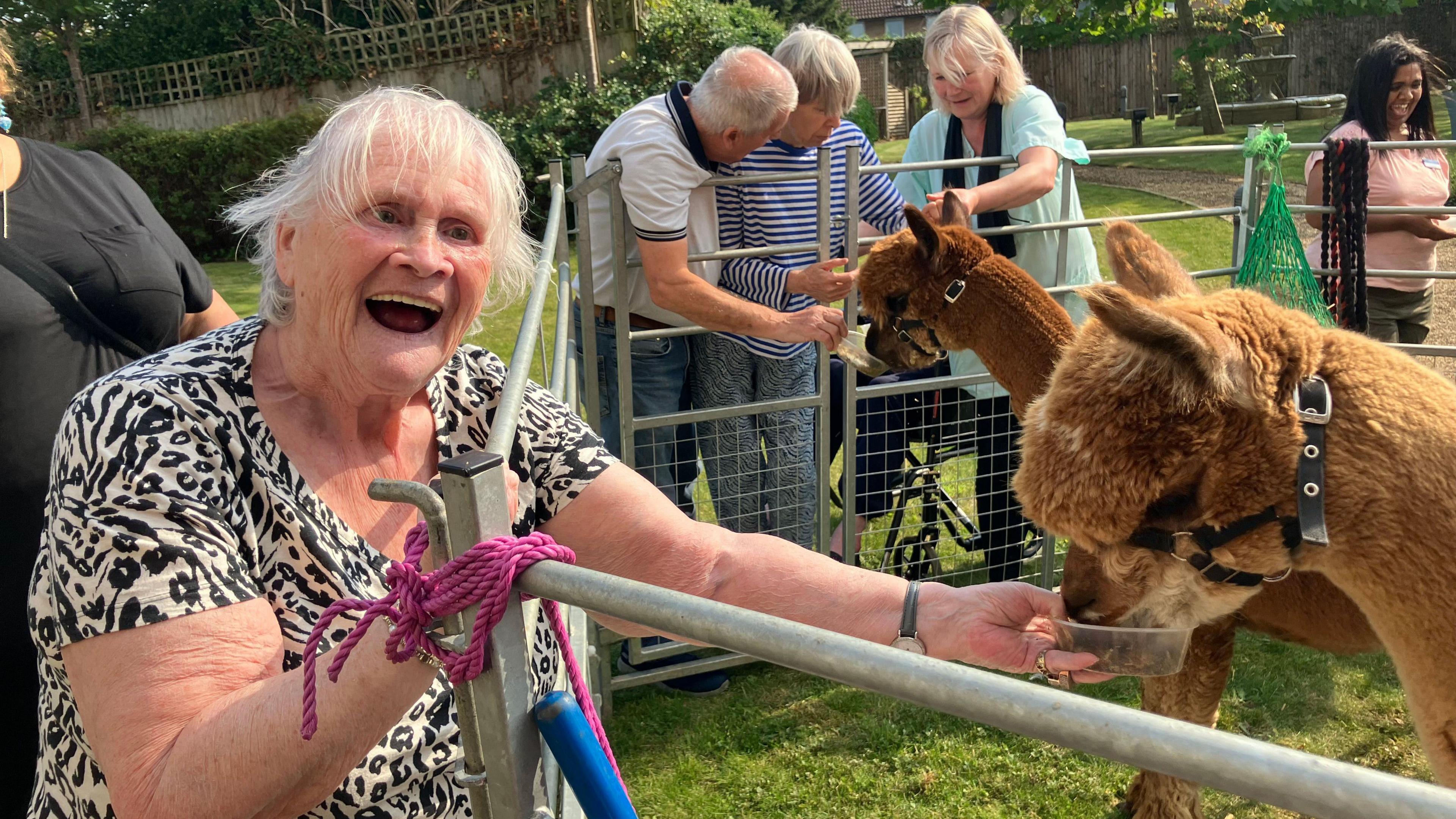 Valerie wearing a black and white T-shirt laughing while feeding a brown alpaca