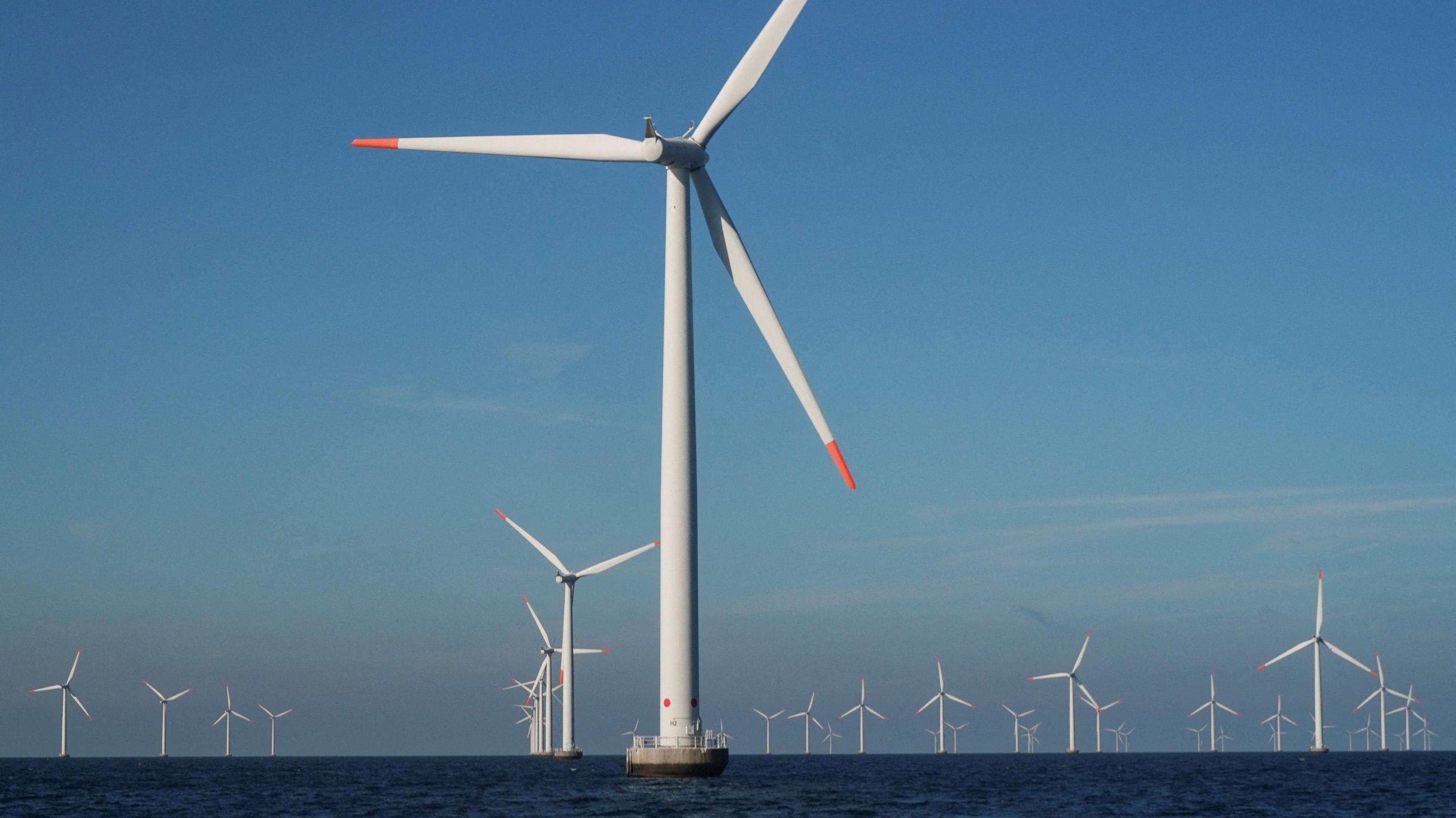 An array of about 30 offshore wind turbines. They are white with red-tipped blades. They are set against a blue sky.