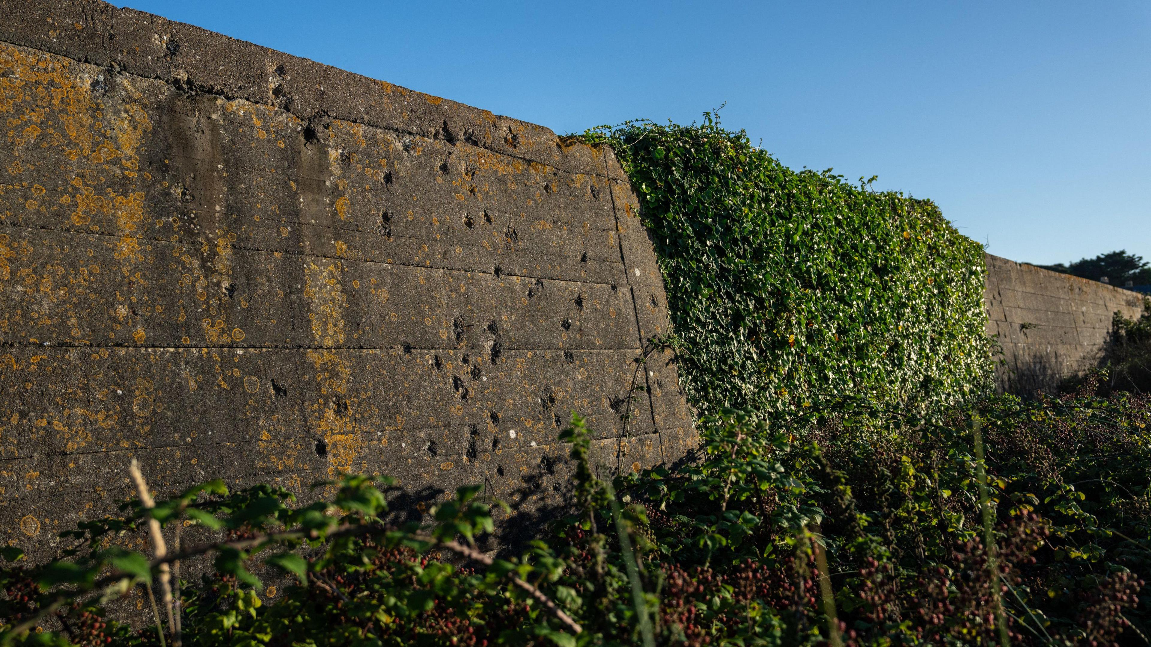 Wall with holes in it