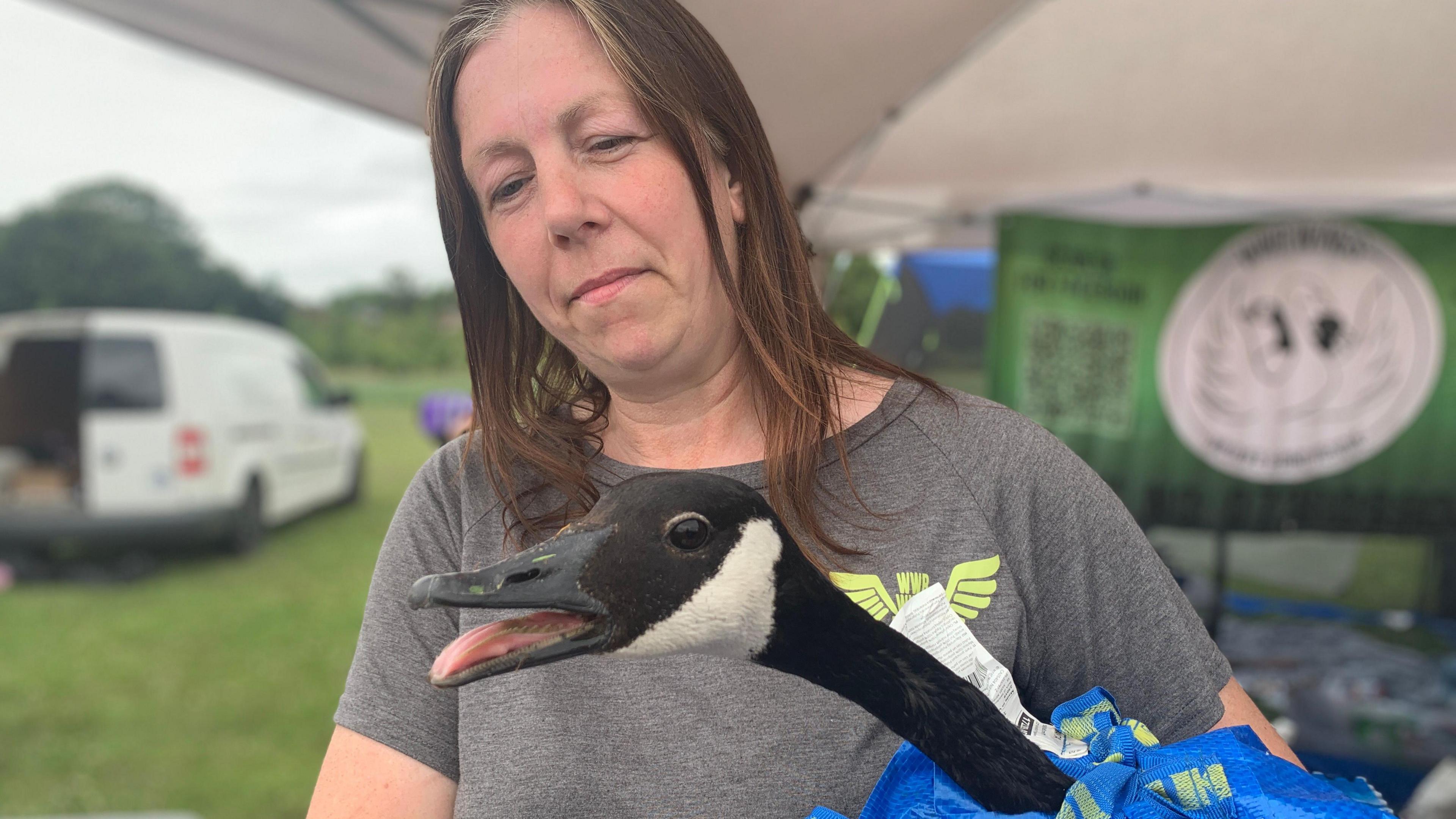 Jay Scott of WWR Wings Wildlife & Bird Rescue with a black and white goose she rescued from