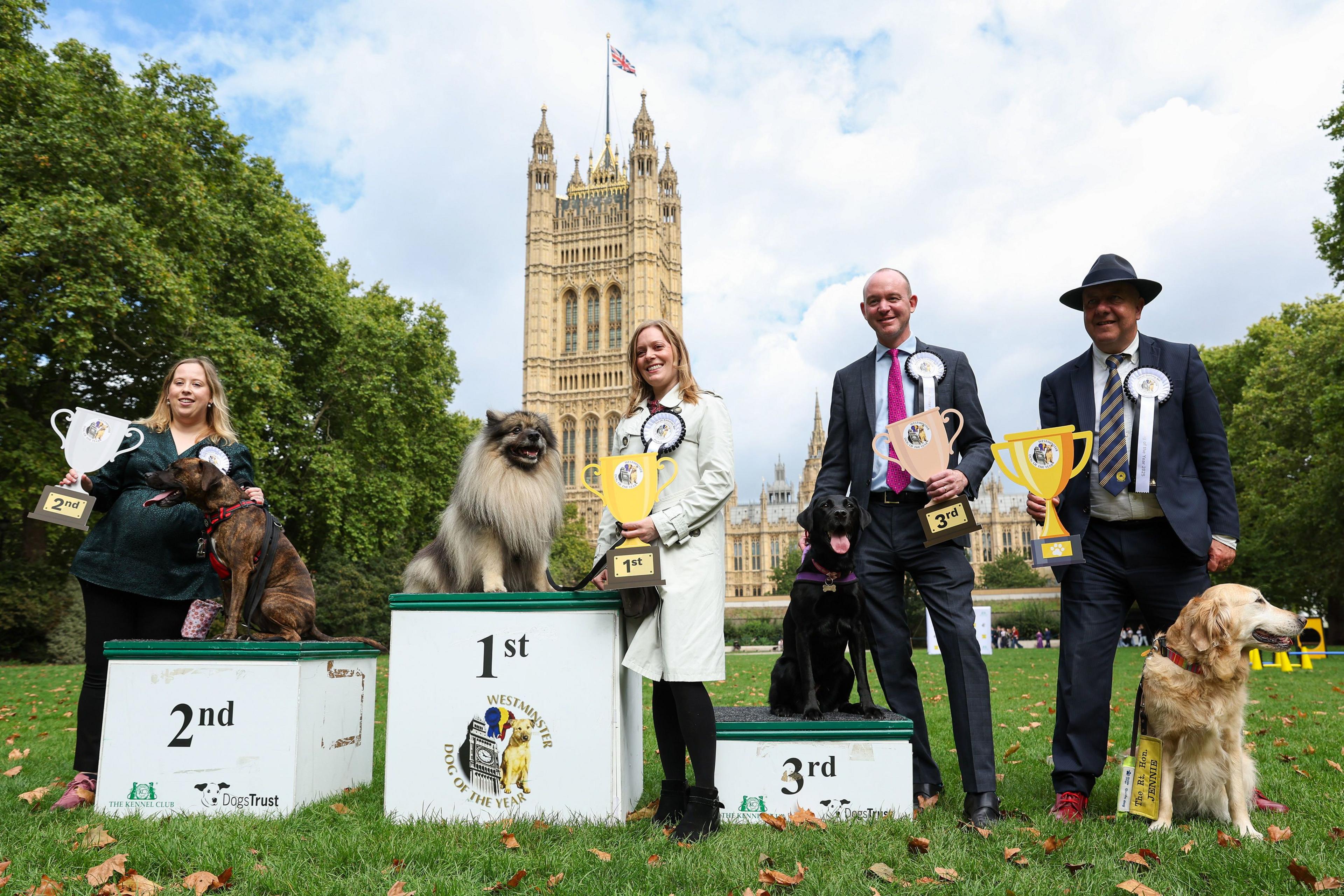 Three dogs are sitting on a white-coloured podium with one in each of the first, second and third places. Two women and two men are standing behind them holding cardboard replicas of trophies. They are all standing on a grassy area in front of the Houses of Parliament.