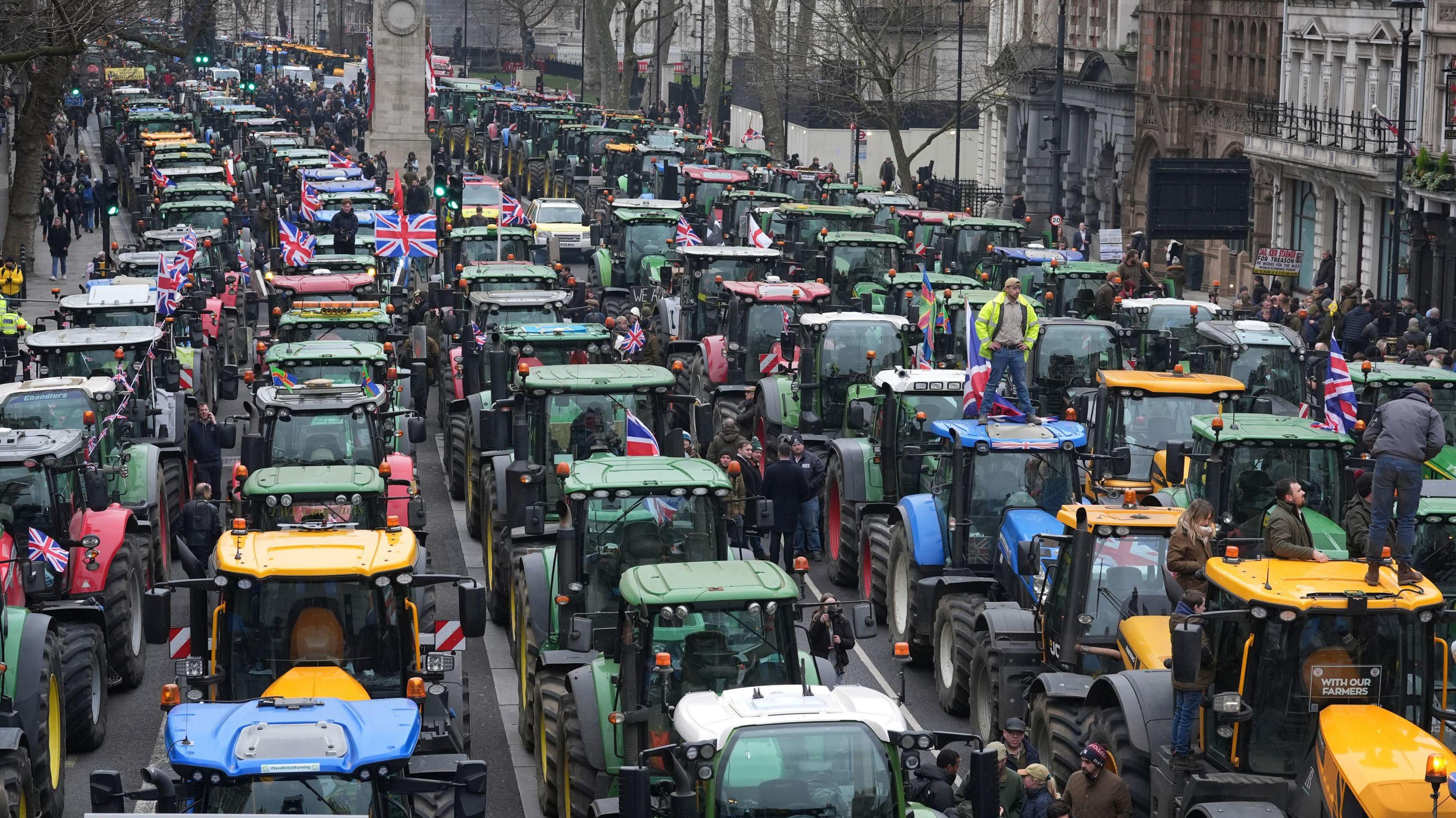 Farmers and their tractors protest in Whitehall, London. There are rows of tractors across a wide street and for as far as the eye can see. The tractors are mostly green, but there are also blue and yellow tractors visible.