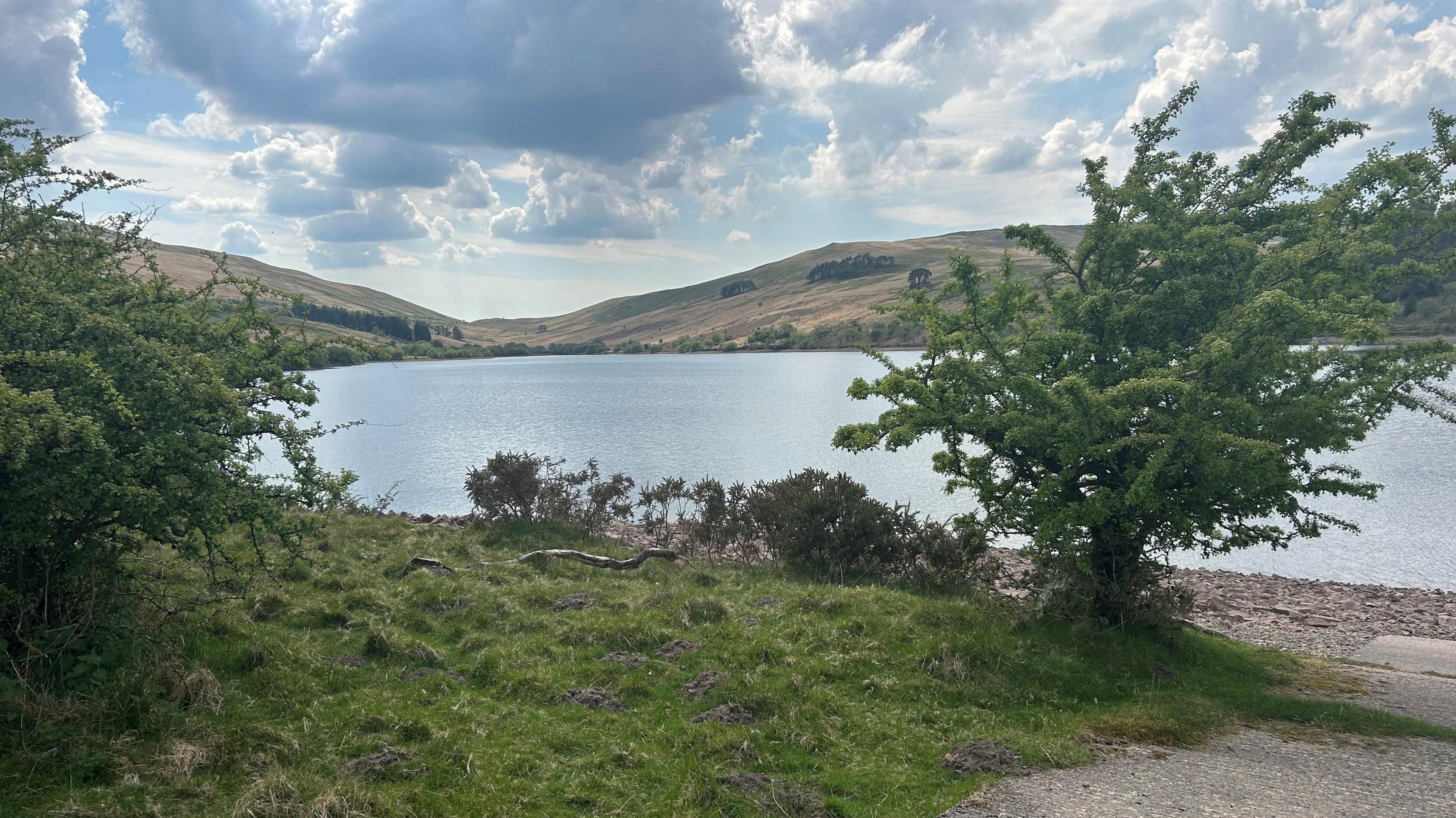 Crai reservoir can be seen into the distance, there are two trees and a patch of grass in front of it, and behind there are hills with blue skies and clouds