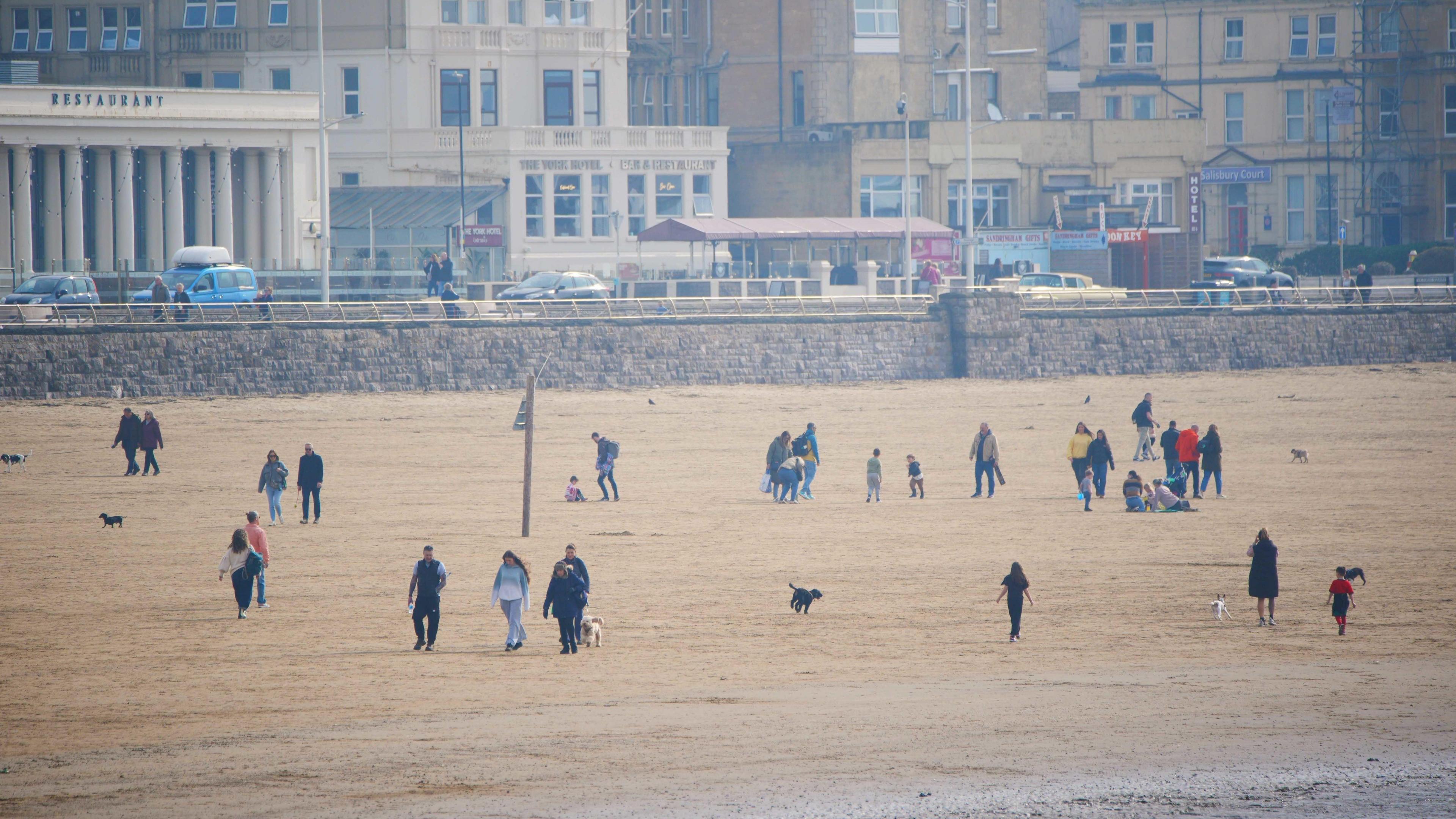 Weston-super-Mare's beach is busy on a warm day in March. People are walking their dogs and some are sitting on blankets in the sand. Behind them is the town's seafront.