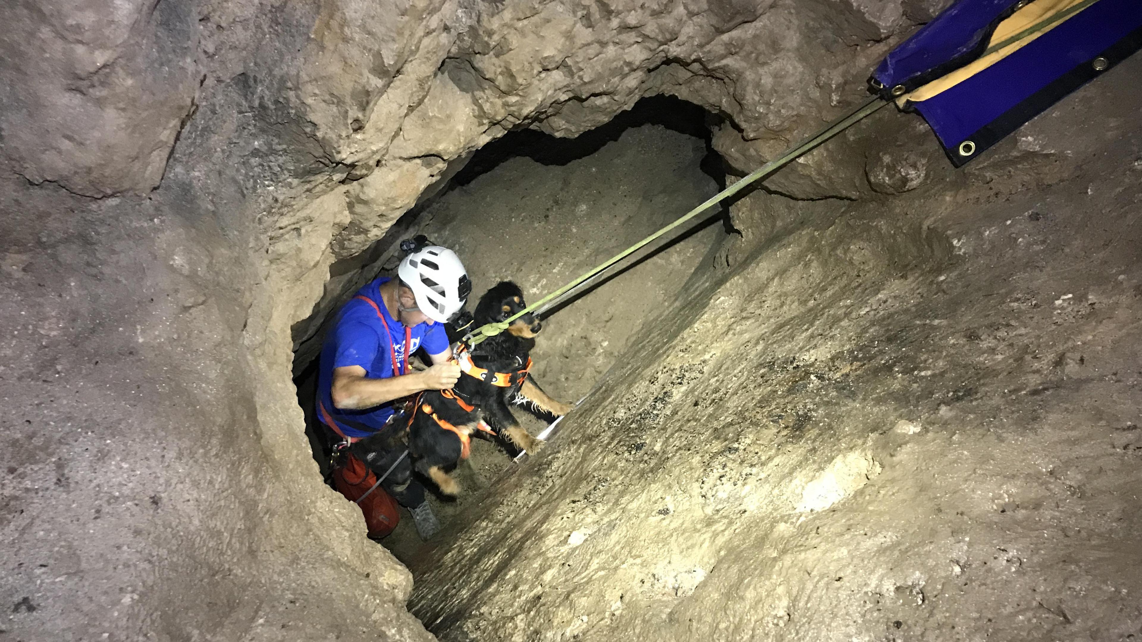 dog being rescued from cave 