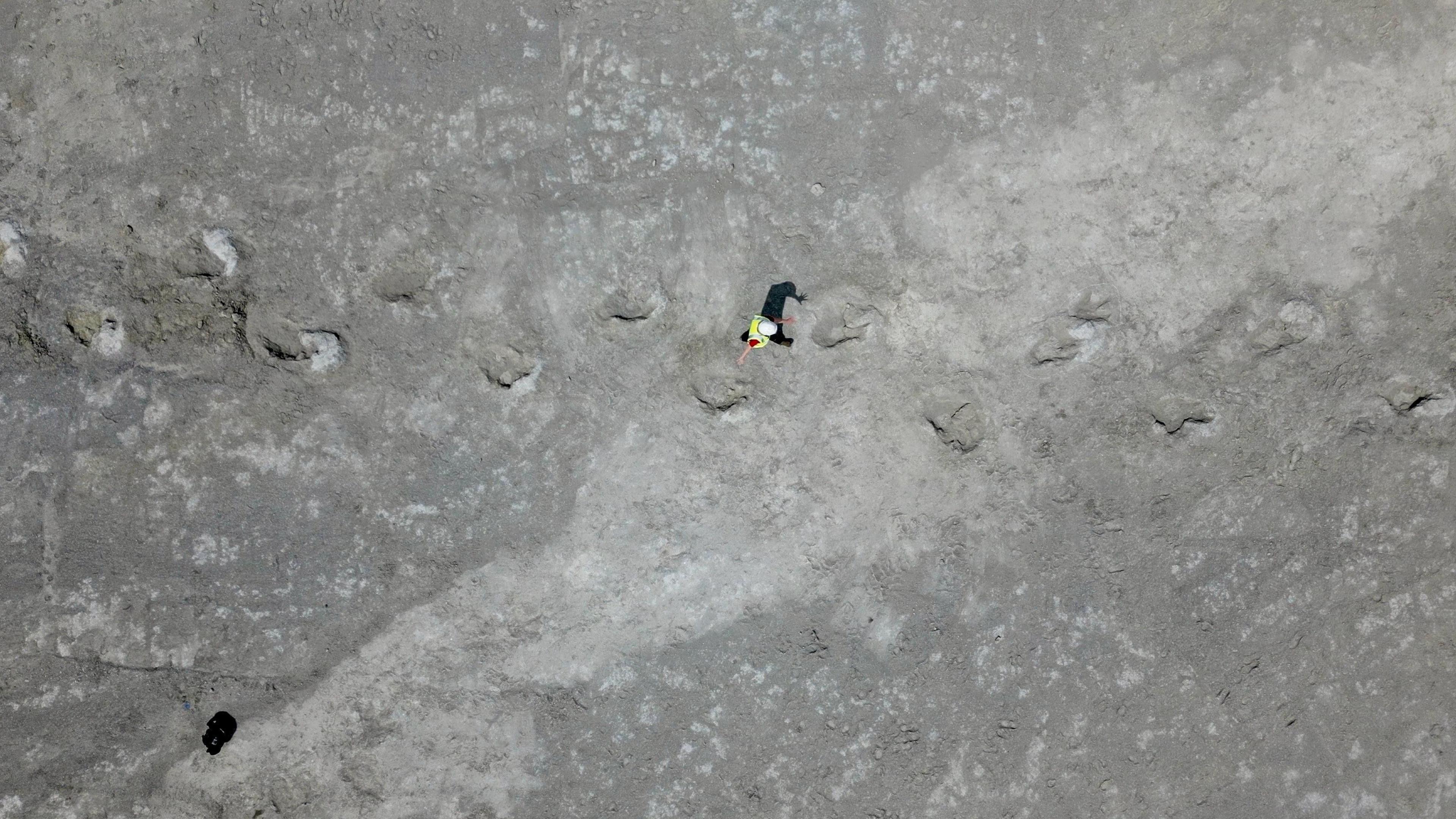 In a drone shot from about 20 metres up, a large trackway of 14 three-toed dinosaur footprints spreads across the field of vision. A worker in a white hard hat and yellow hi visibility waistcoat walks in the middle of the picture in between the tracks. His small sharply defined shadow and short sleeves suggests a sunny day and that it is close to midday.