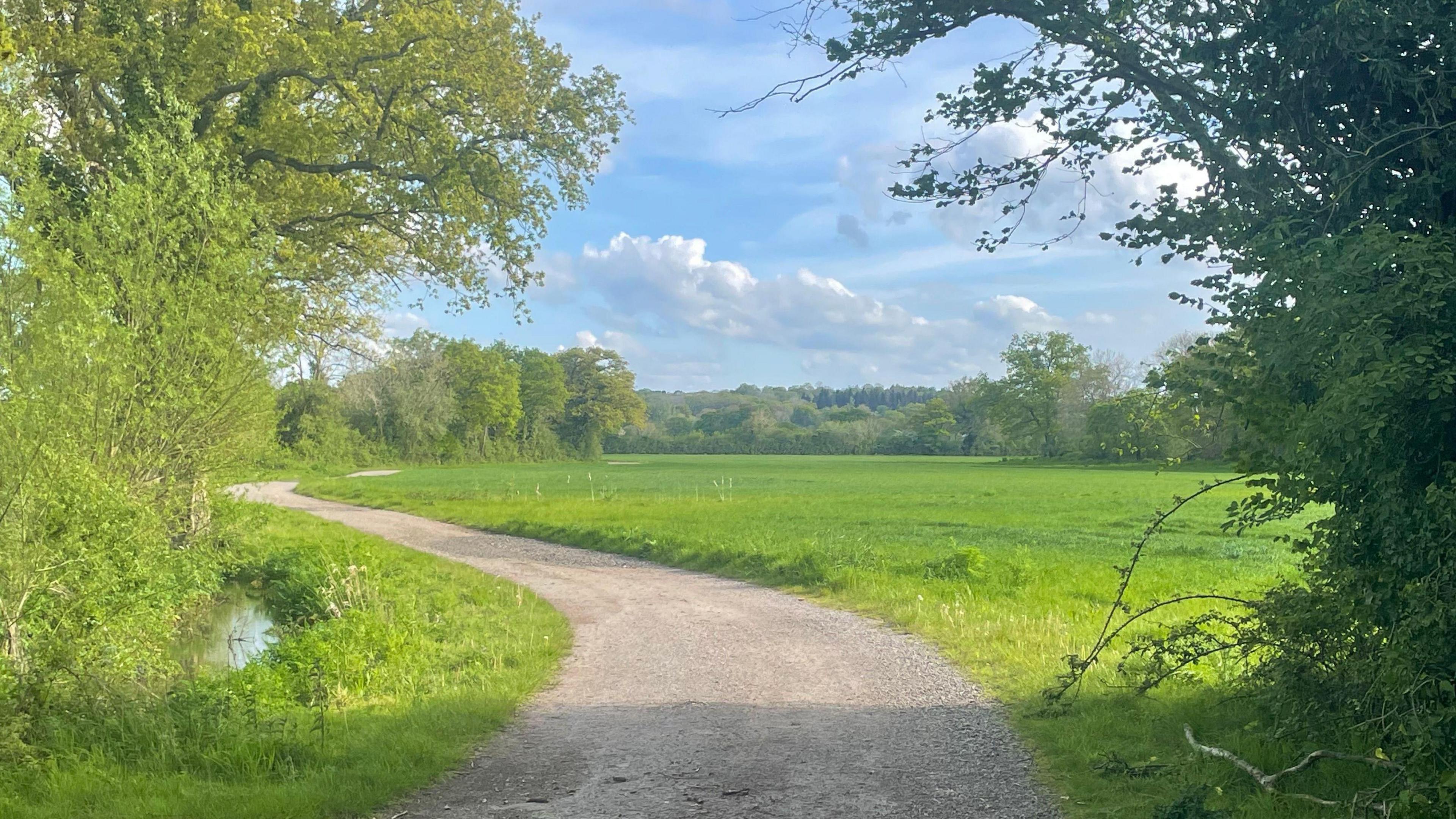 An image of the green fields of tanners farm with trees in the distance