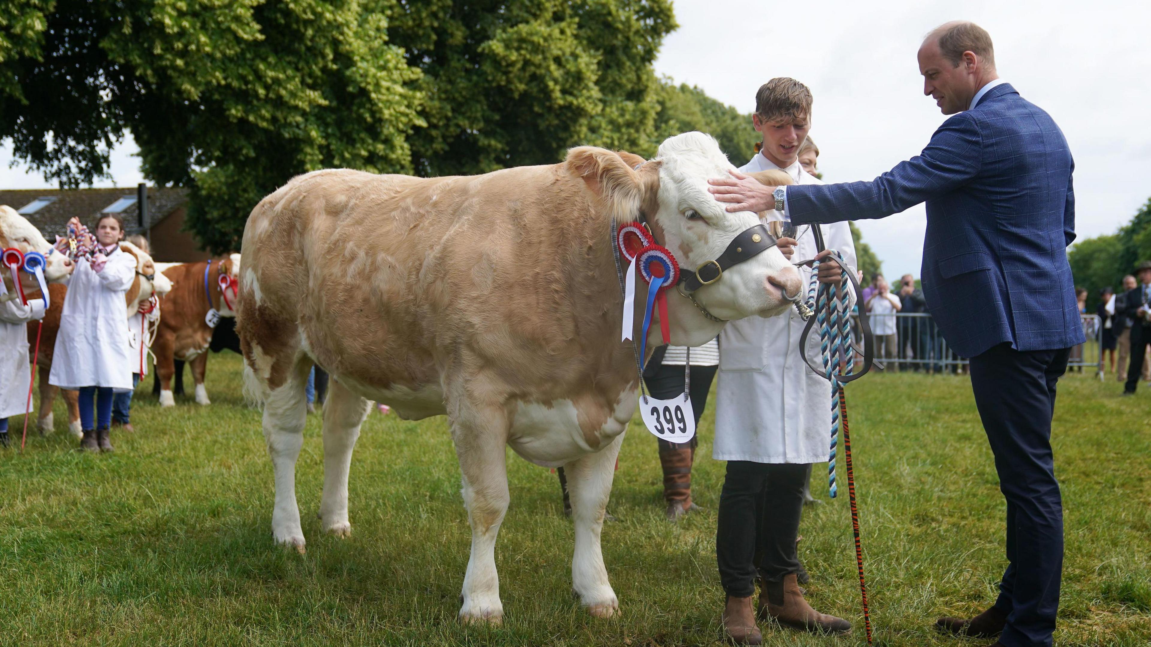 Prince William meeting young farmer and a fine bull in 2023