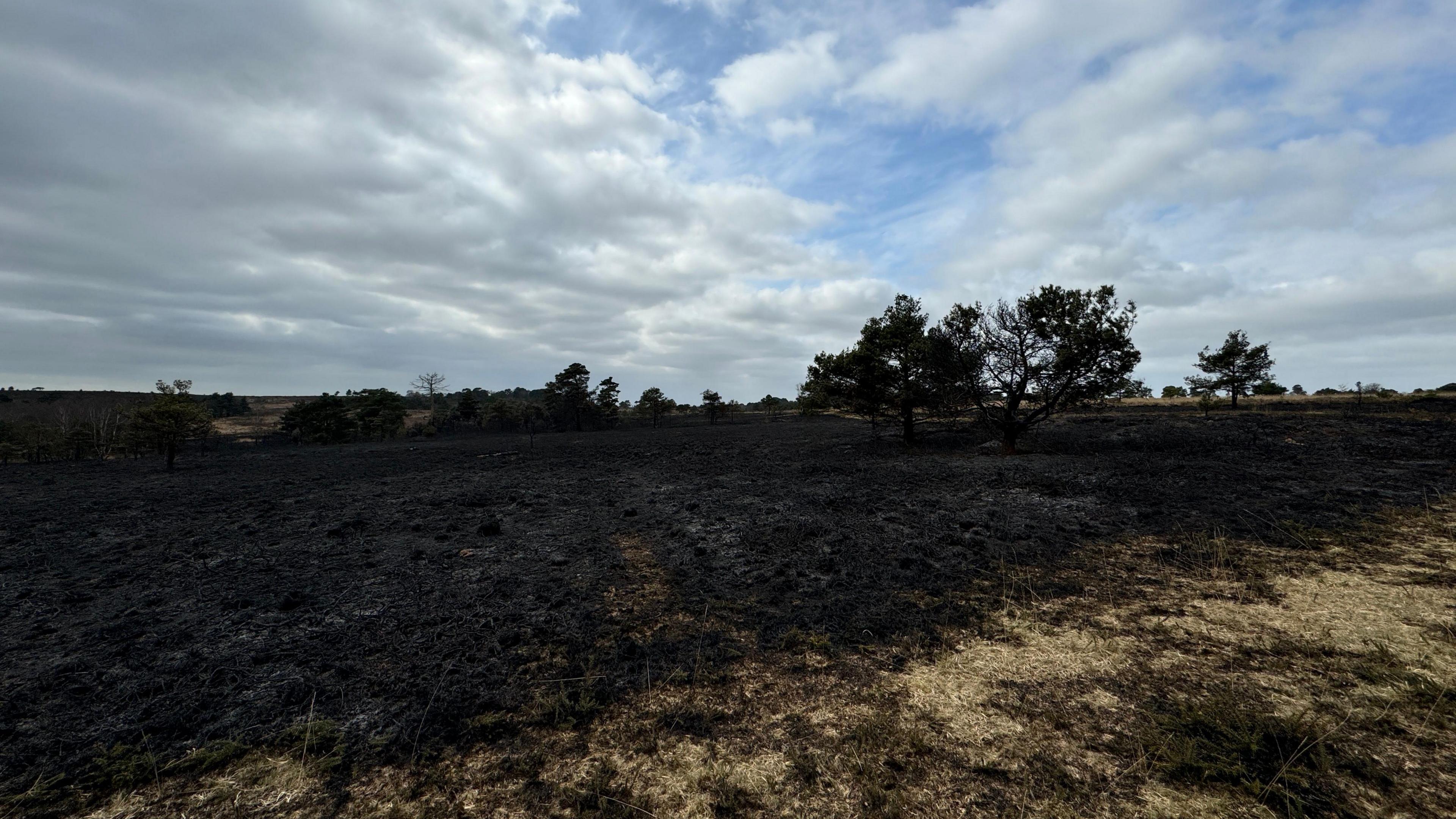 A different section of scorched land - the ground looks black and there are trees and hills in the background