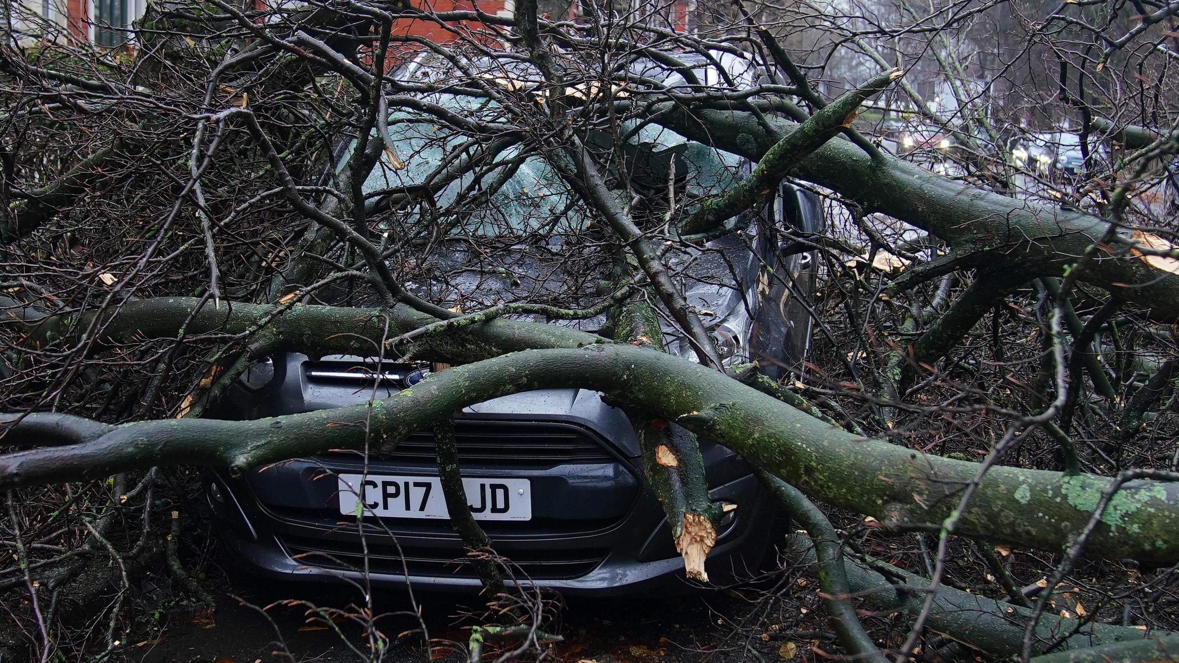 Grey hatchback car smashed by fallen trees and covered in branches and twigs