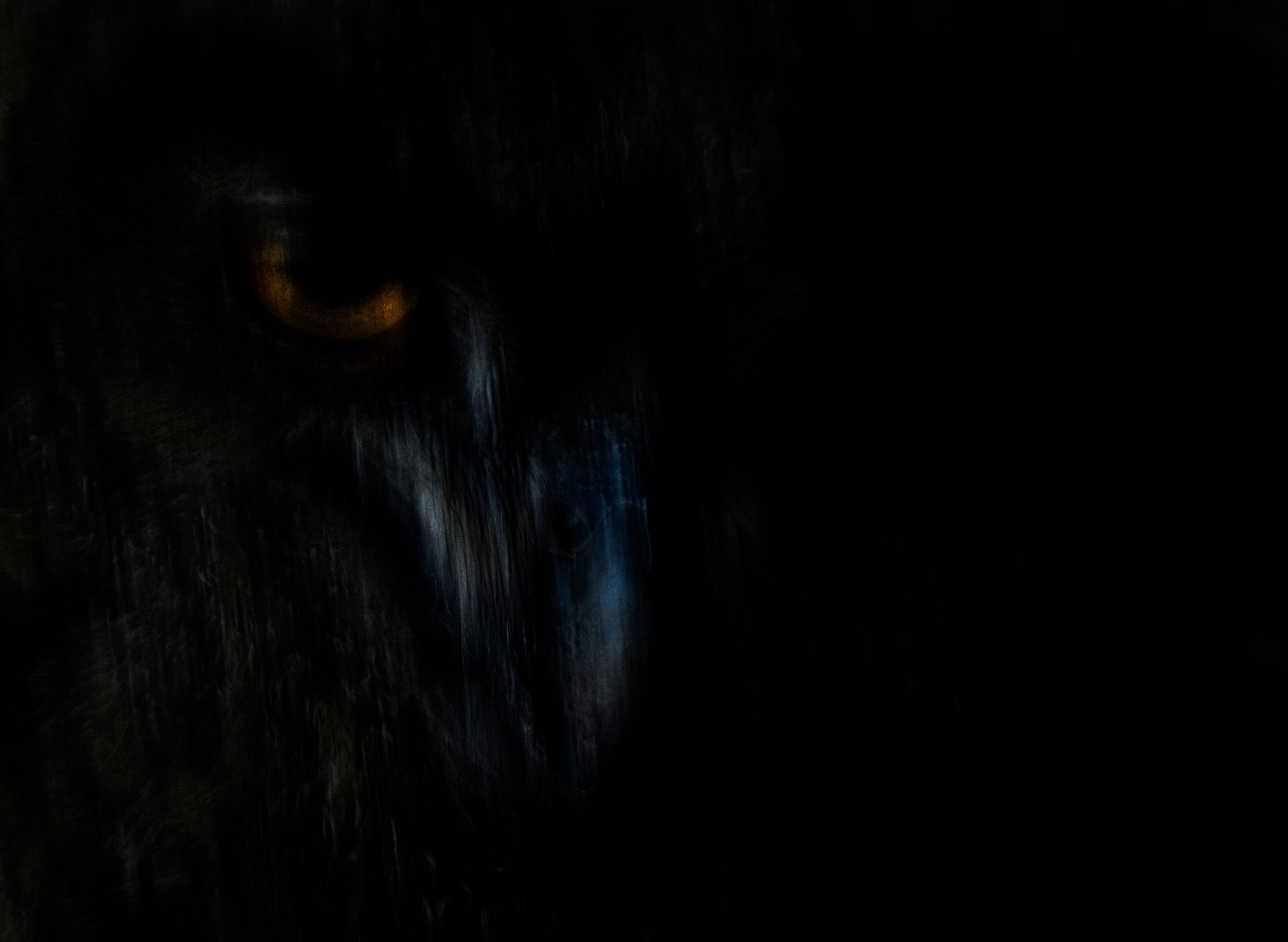 Eurasian eagle owl in deep shadow, its orange eye glowing as light brushes over its dark feathers.