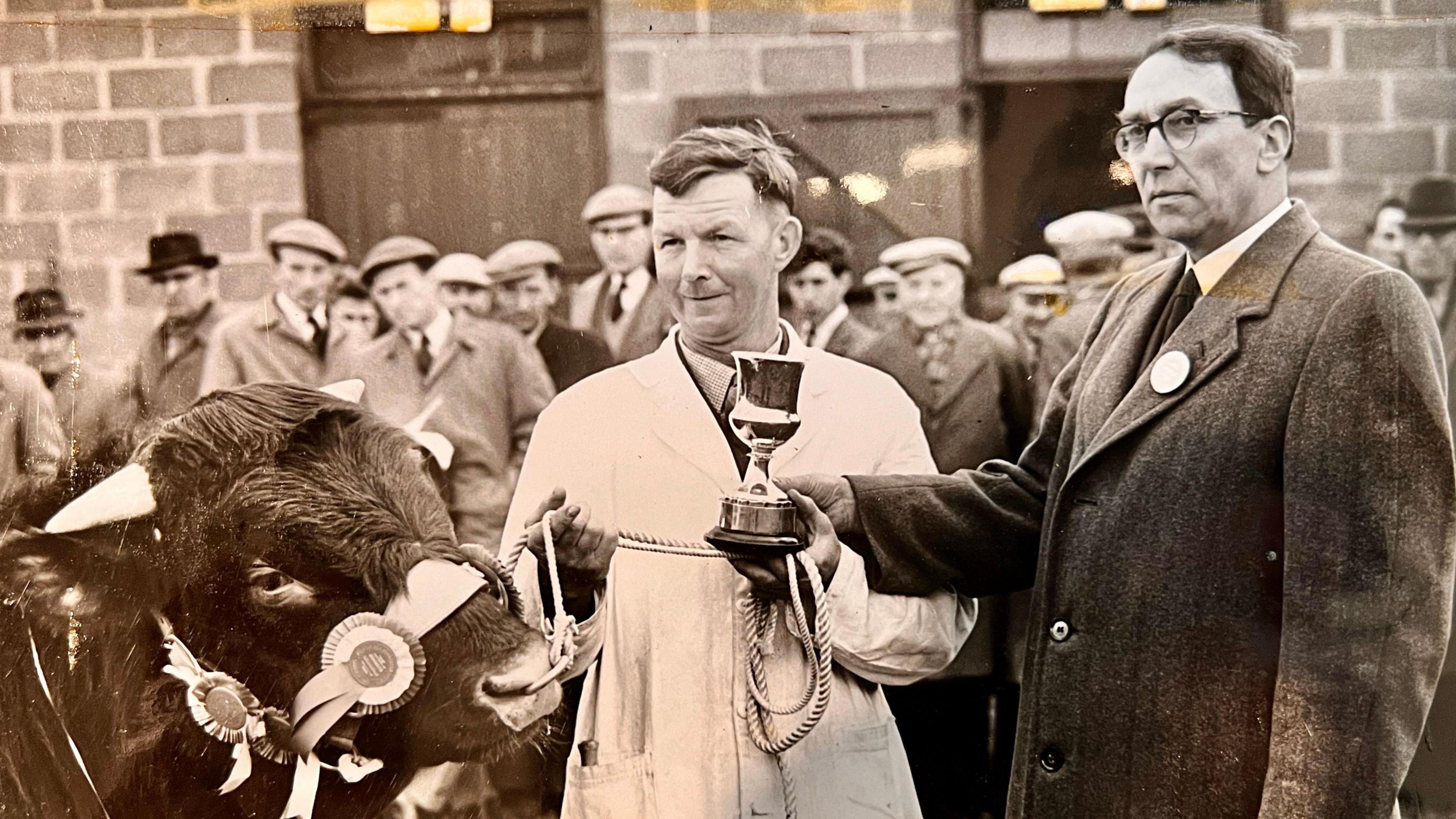 A black-and-white photo of Frank Read at a cattle show in the 1950s. He is wearing a buttoned-up jacket and holding a trophy, alongside a man dressed in a white coat who is holding a rope attached to a bull. They are watched by a crowd of men wearing coats and caps.