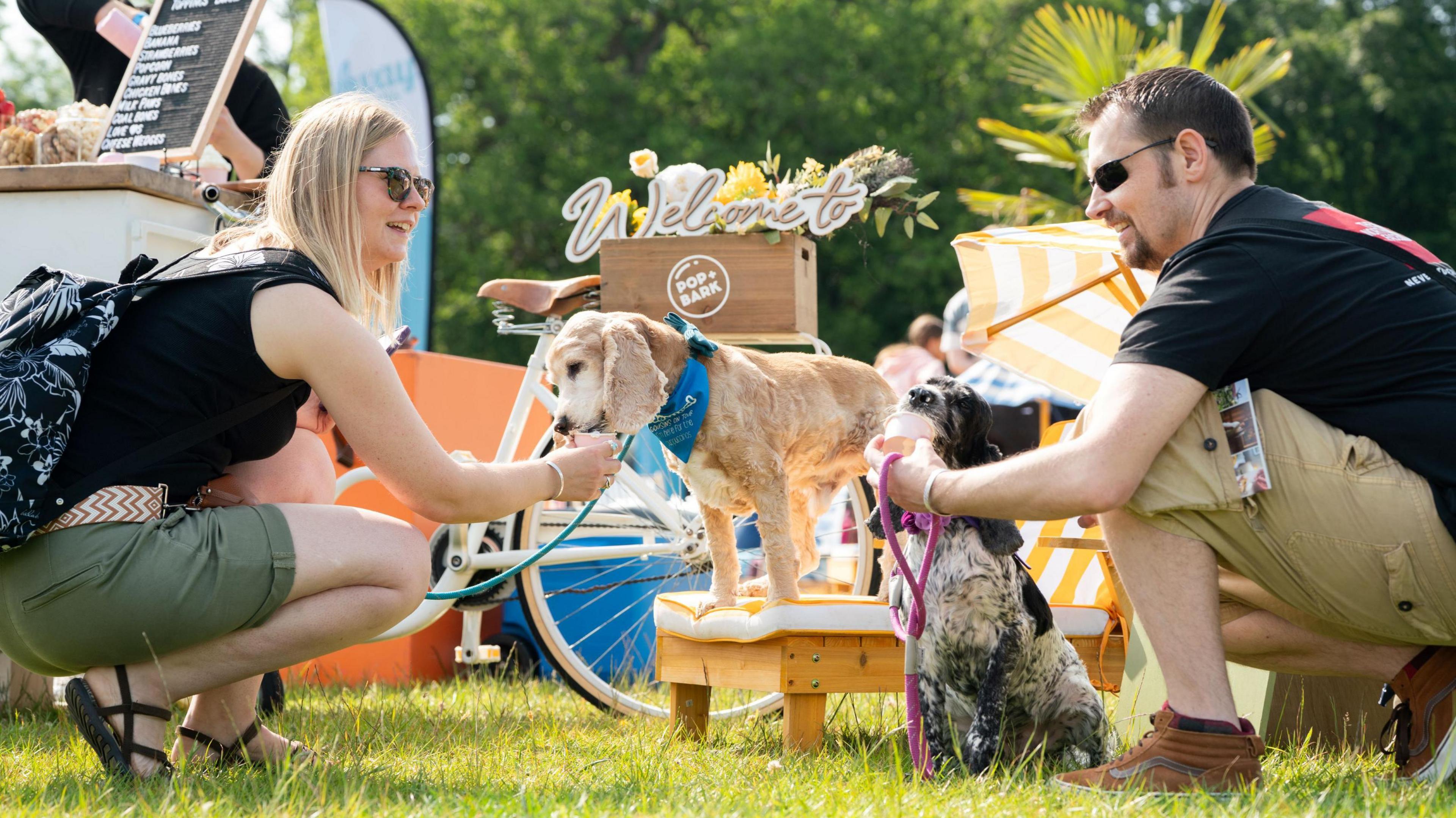 Two dogs with their owners eating out of tubs while one is sat on a deck chair