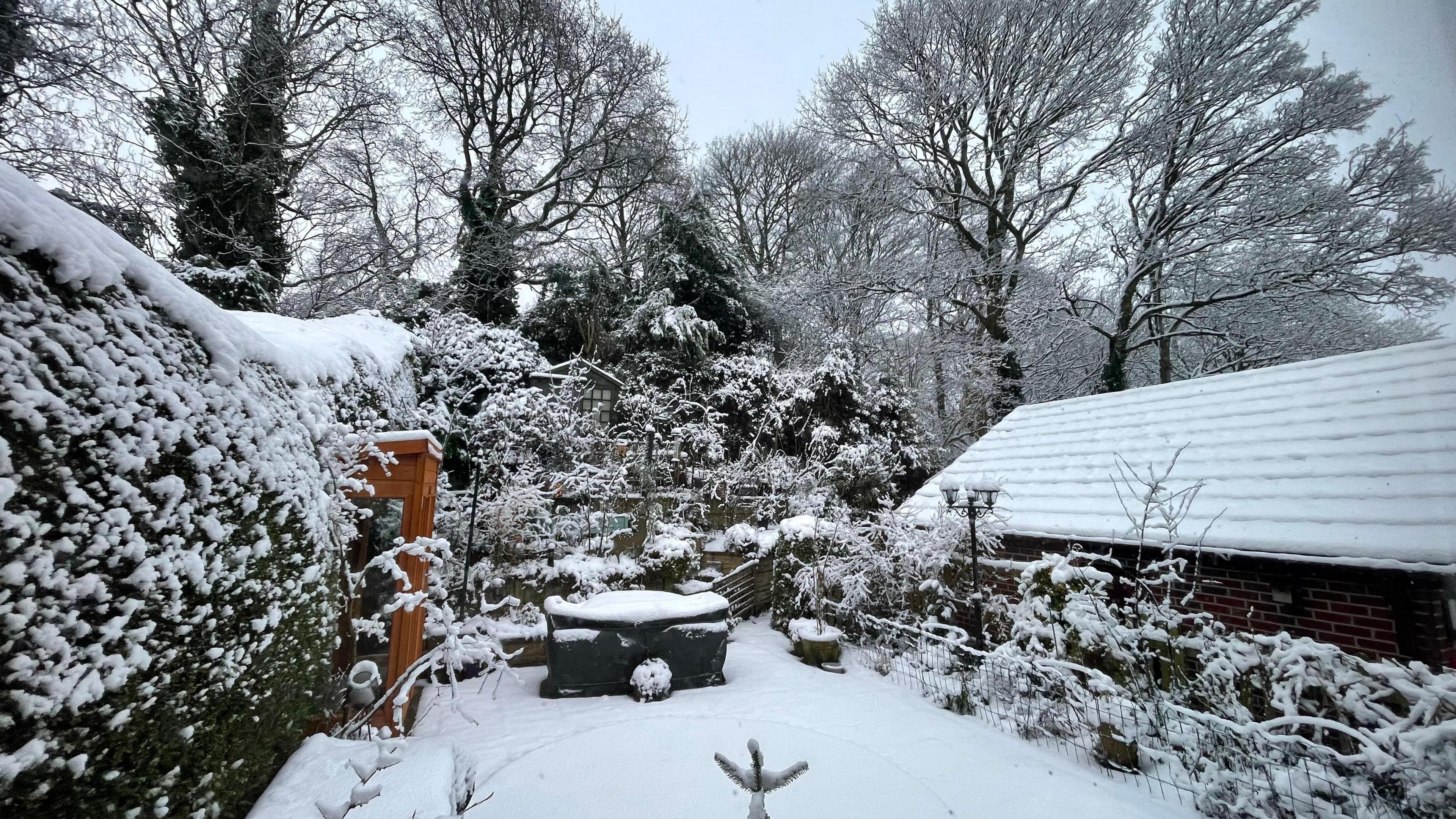 A garden covered in snow