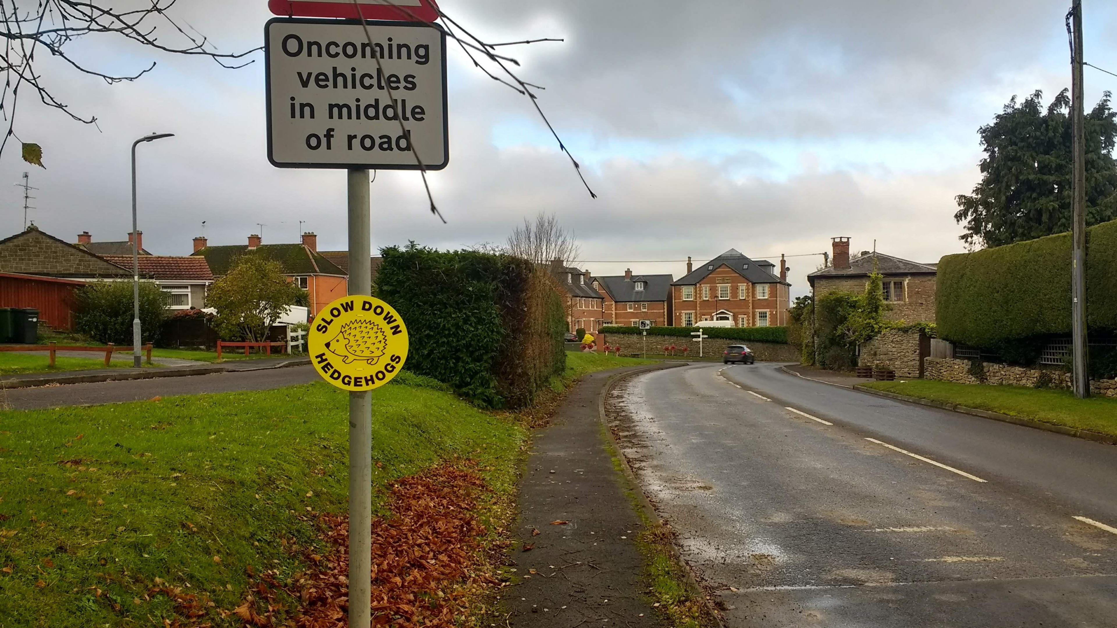 A hedgehog sign in Templecombe