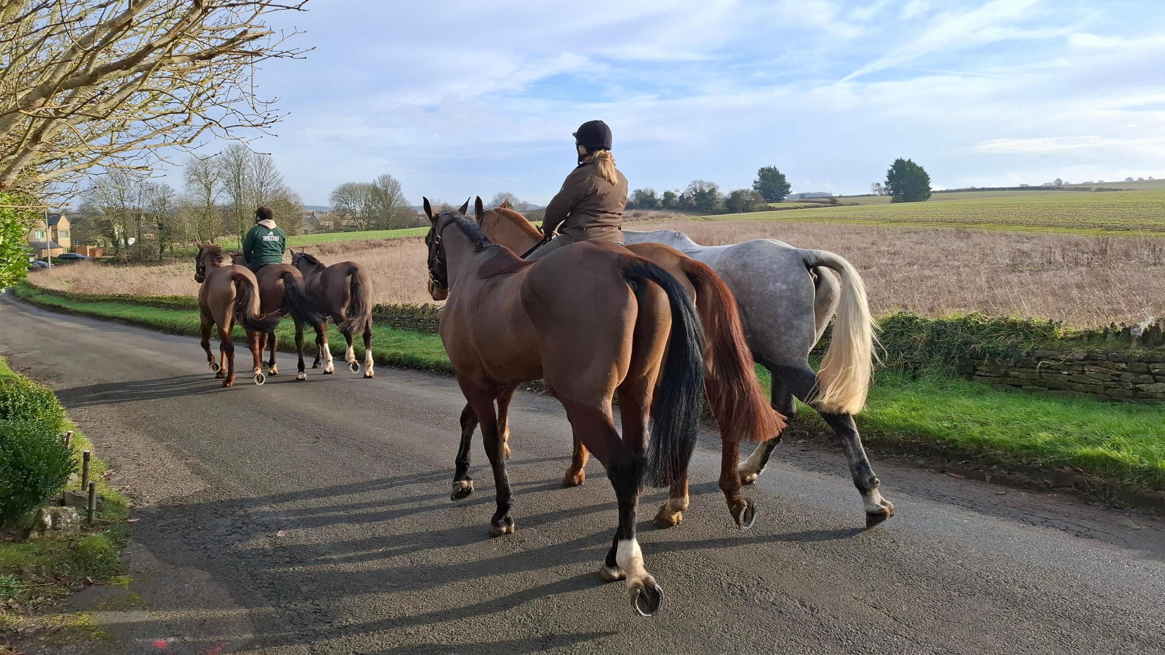 Two rows of three horses are walking down a country road. The middle horses are being ridden. The road is quiet and in the distance you can see a house. There is a field on the far side of the road behind a grass verge and a low stone wall.