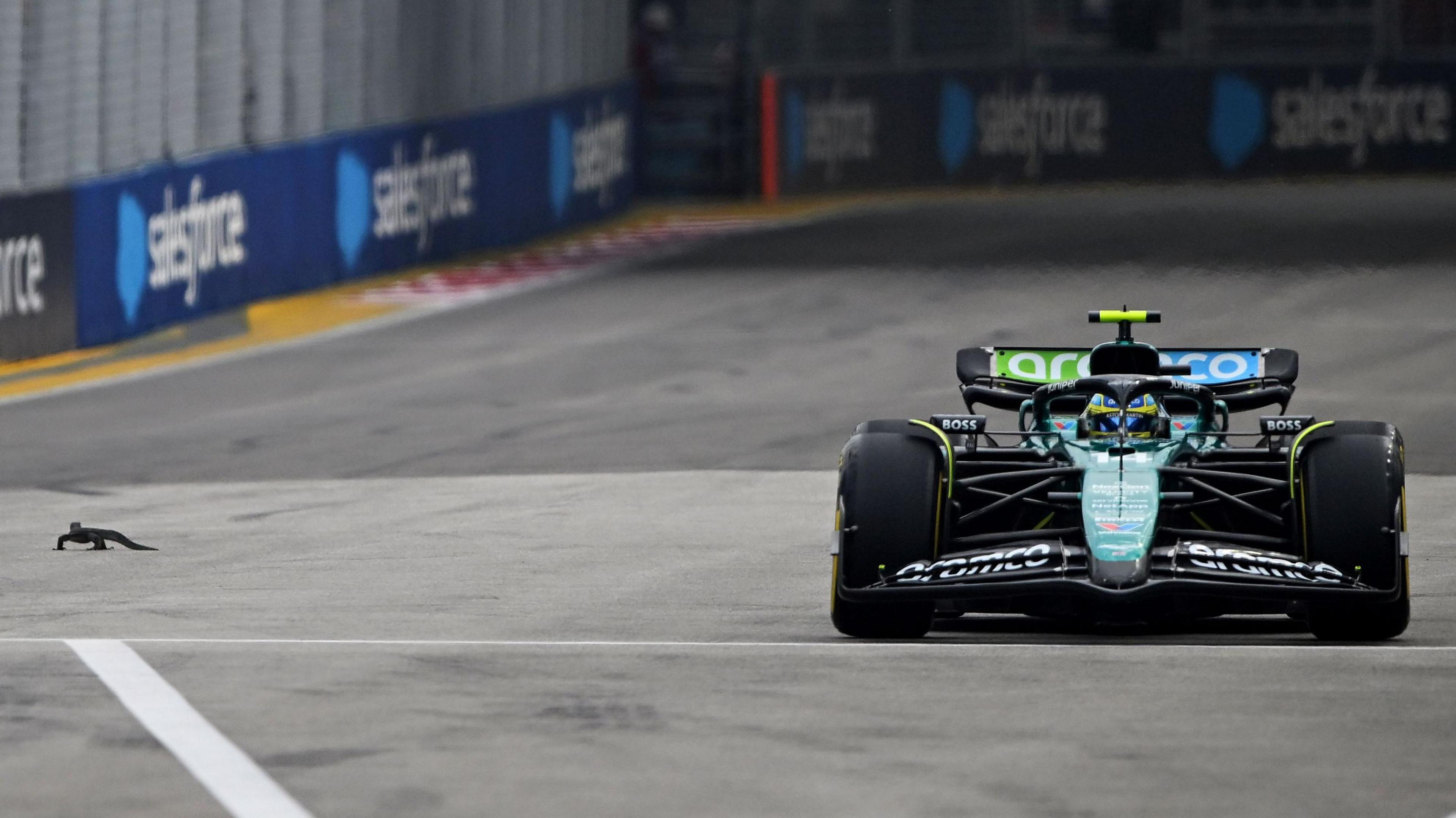 Fernando Alonso's Aston Martin passes a lizard on the Marina Bay circuit during third practice for the Singapore Grand Prix