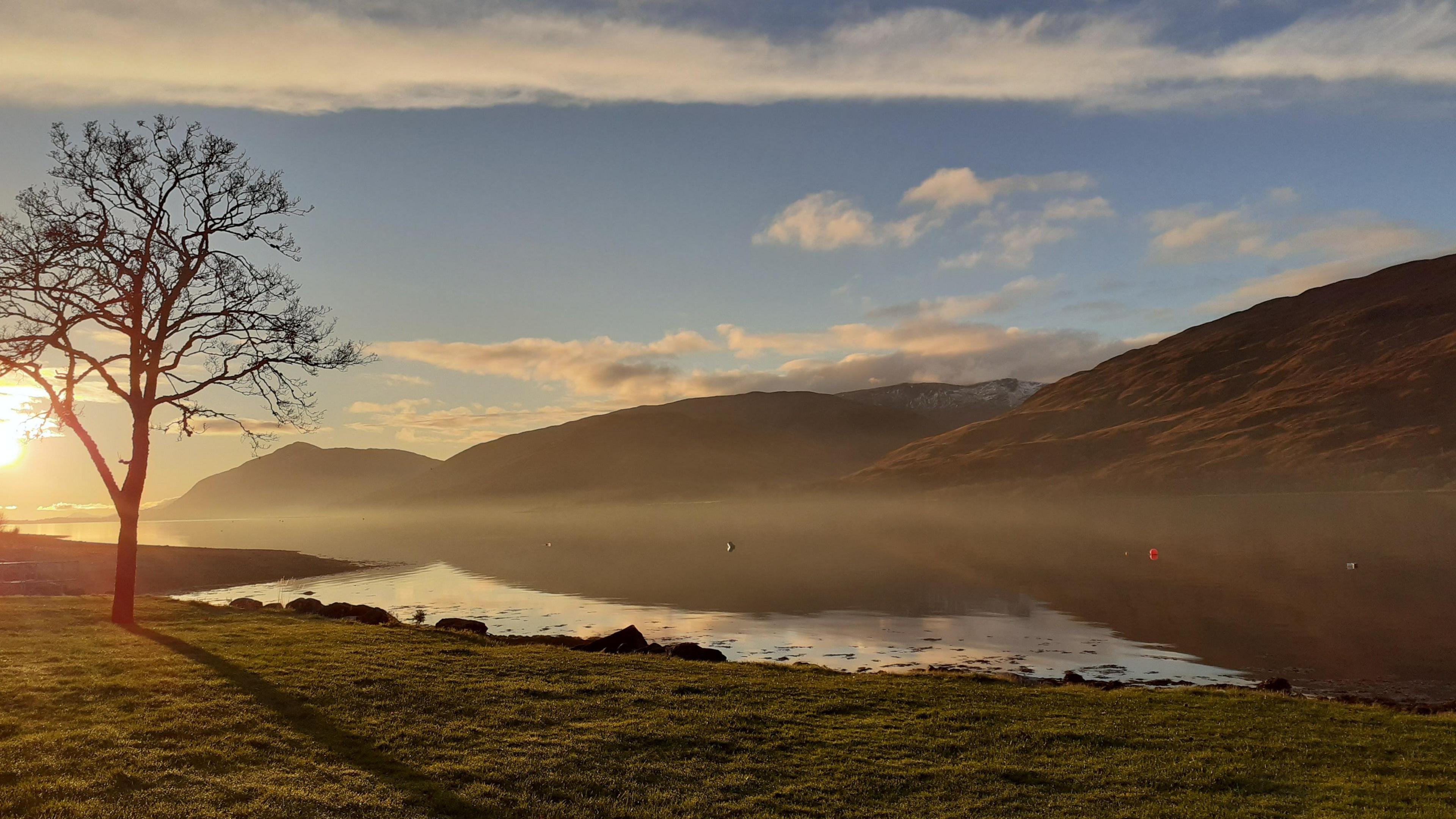 A loch at sunrise. A bare tree is in the foreground, and shadows are being cast by the sun on the left side of the image. There are mountains in the background across a calm body of water. The sky is dark blue with streaks of white cloud.