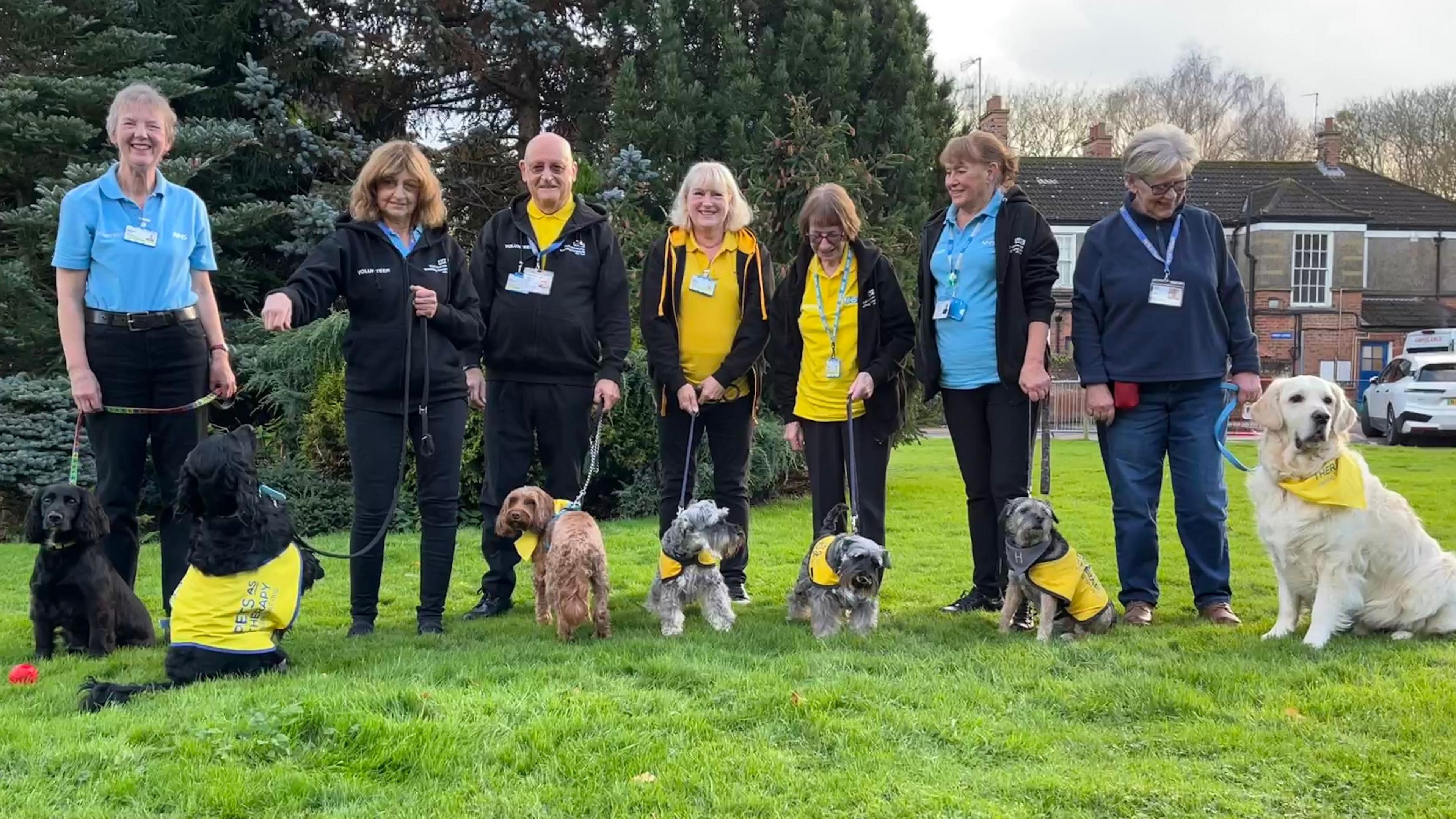 Seven dog owners stand in a row holding the leads of their PAT dogs, which are all wearing yellow bibs, on a green field in front of trees and hospital buildings.