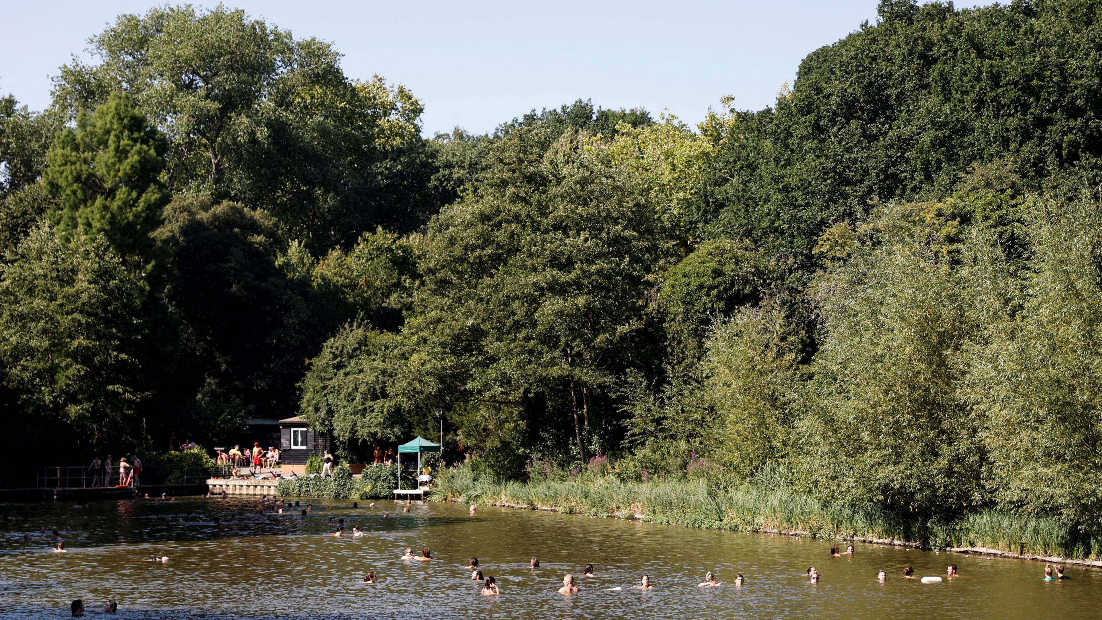 A natural pond surrounded by dense green trees, with several people swimming in calm brownish water. A small dock and green canopy are visible near the shore, under clear blue sky.