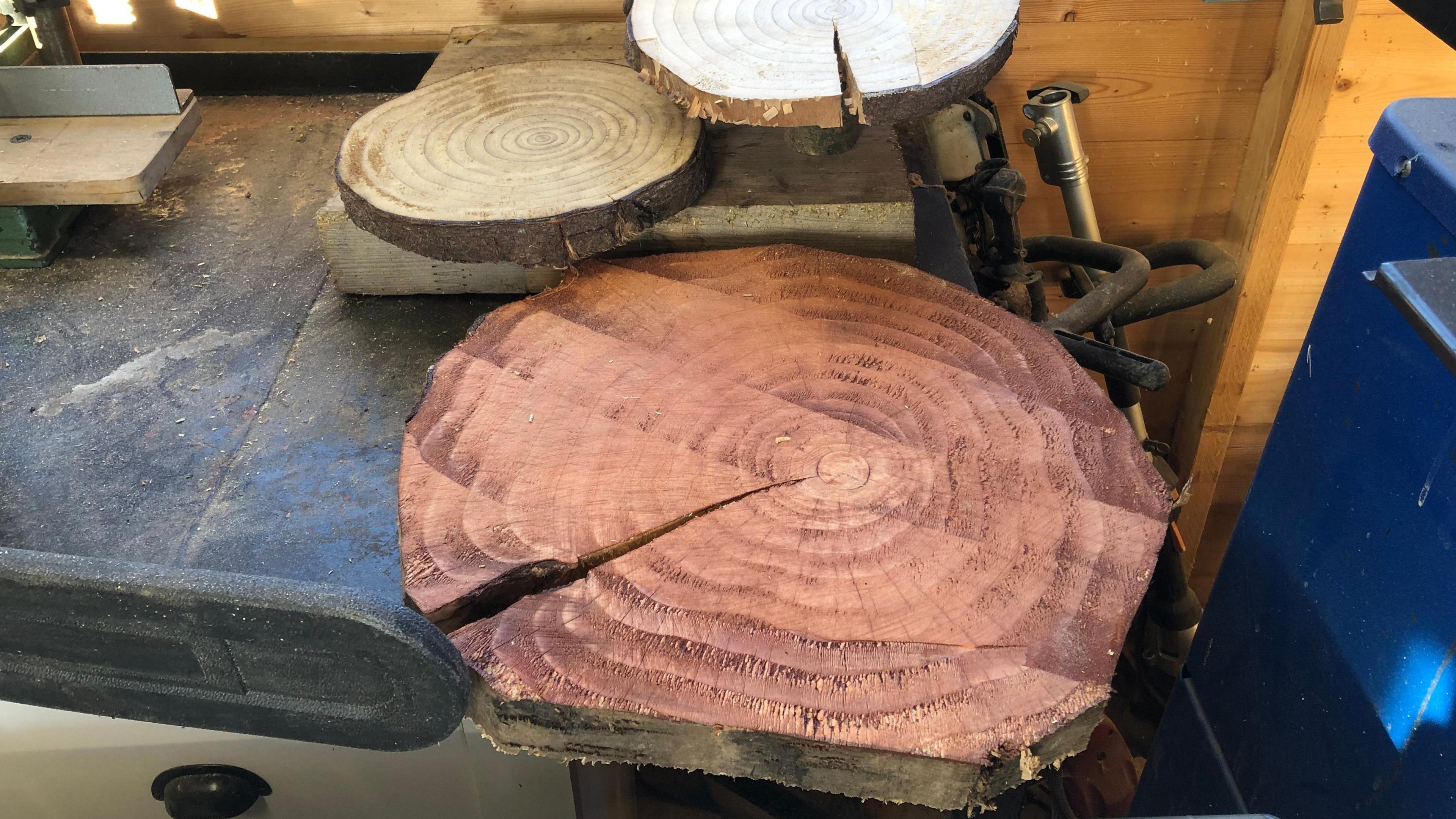 Three slices of tree trunk on a work bench