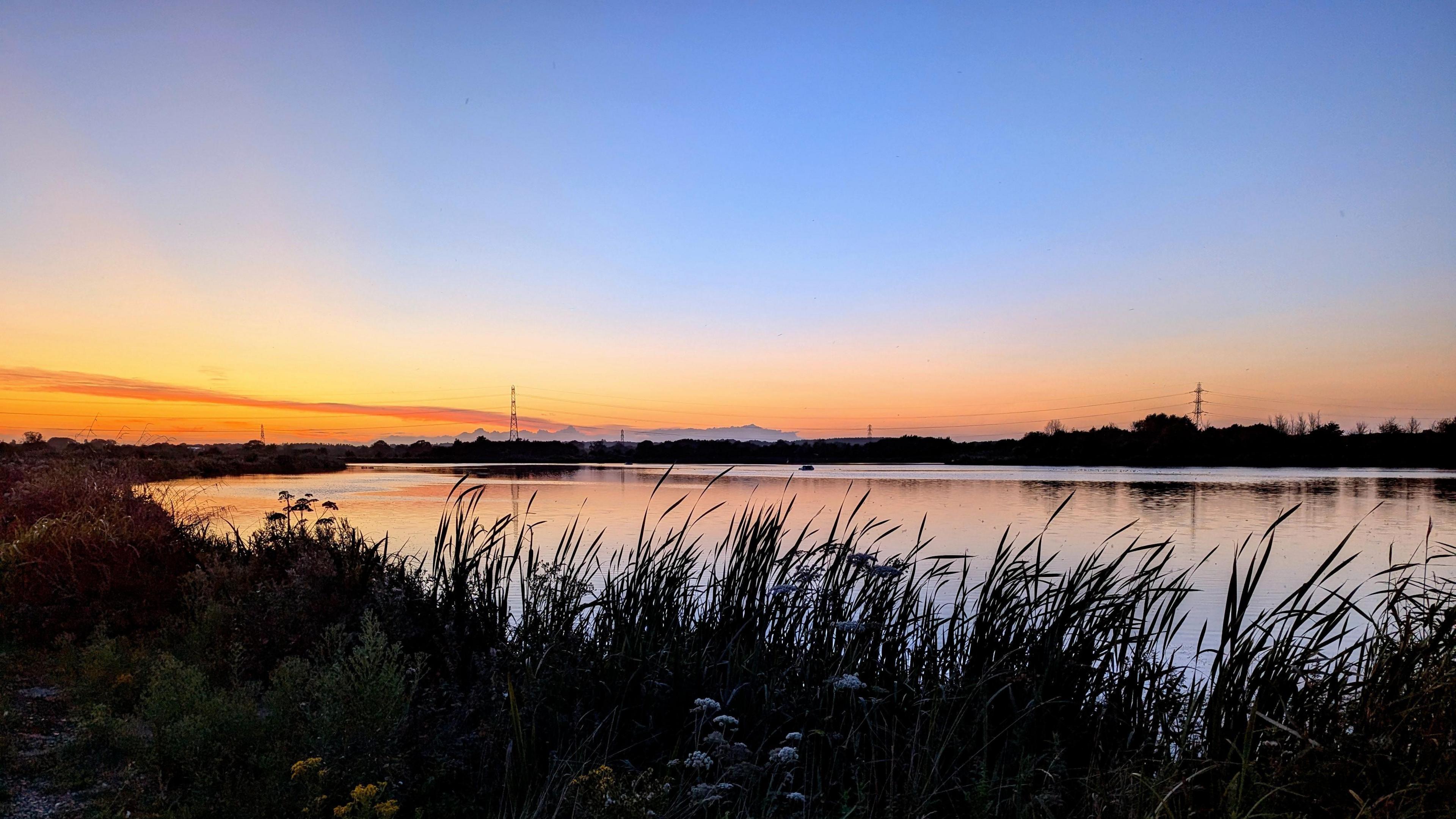 The sunsets over a body of water illuminating the sky with an orange glow. The light reflects on the water and silhouetted on the horizon are a row of trees and electricity pylons. In the foreground there is a row of plants and small flowers. 