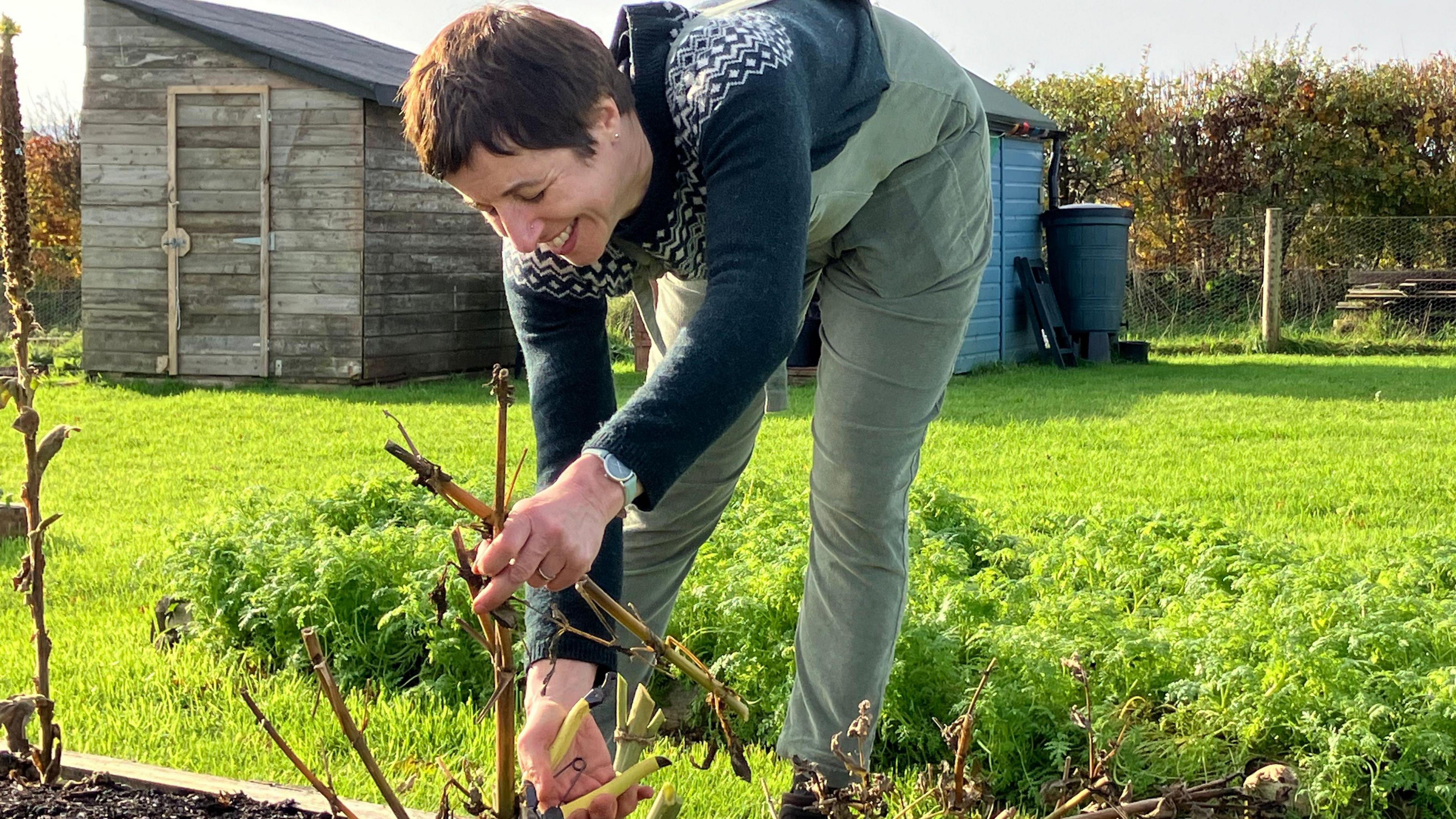 Dr Susan Taheri  - a woman in dungarees with black and white jumper in a surgery garden with a shed behind her. She's cutting some stems back.