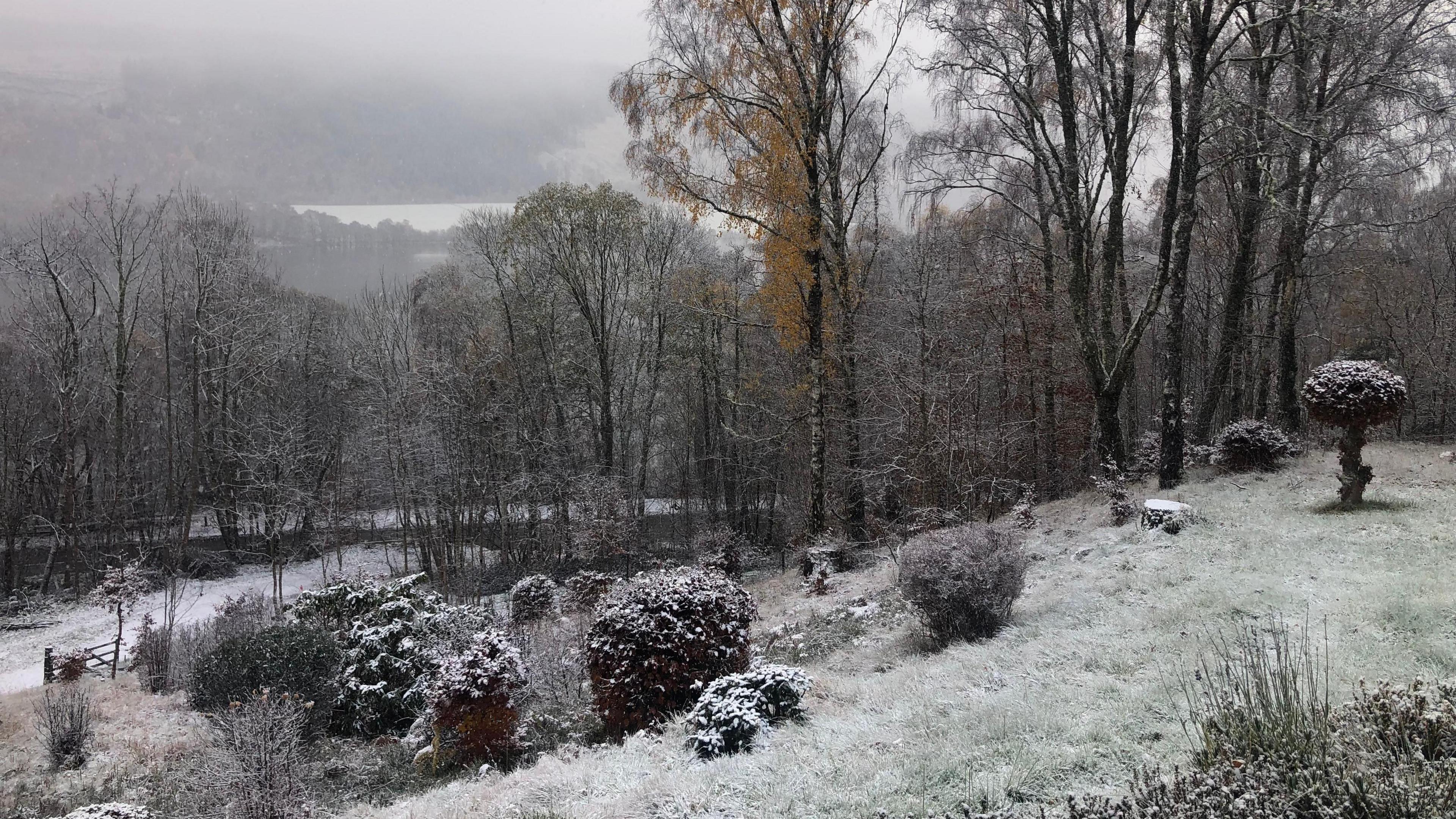 Snow-covered garden and trees on a hillside, with a misty lake and forest in the background under an overcast sky.