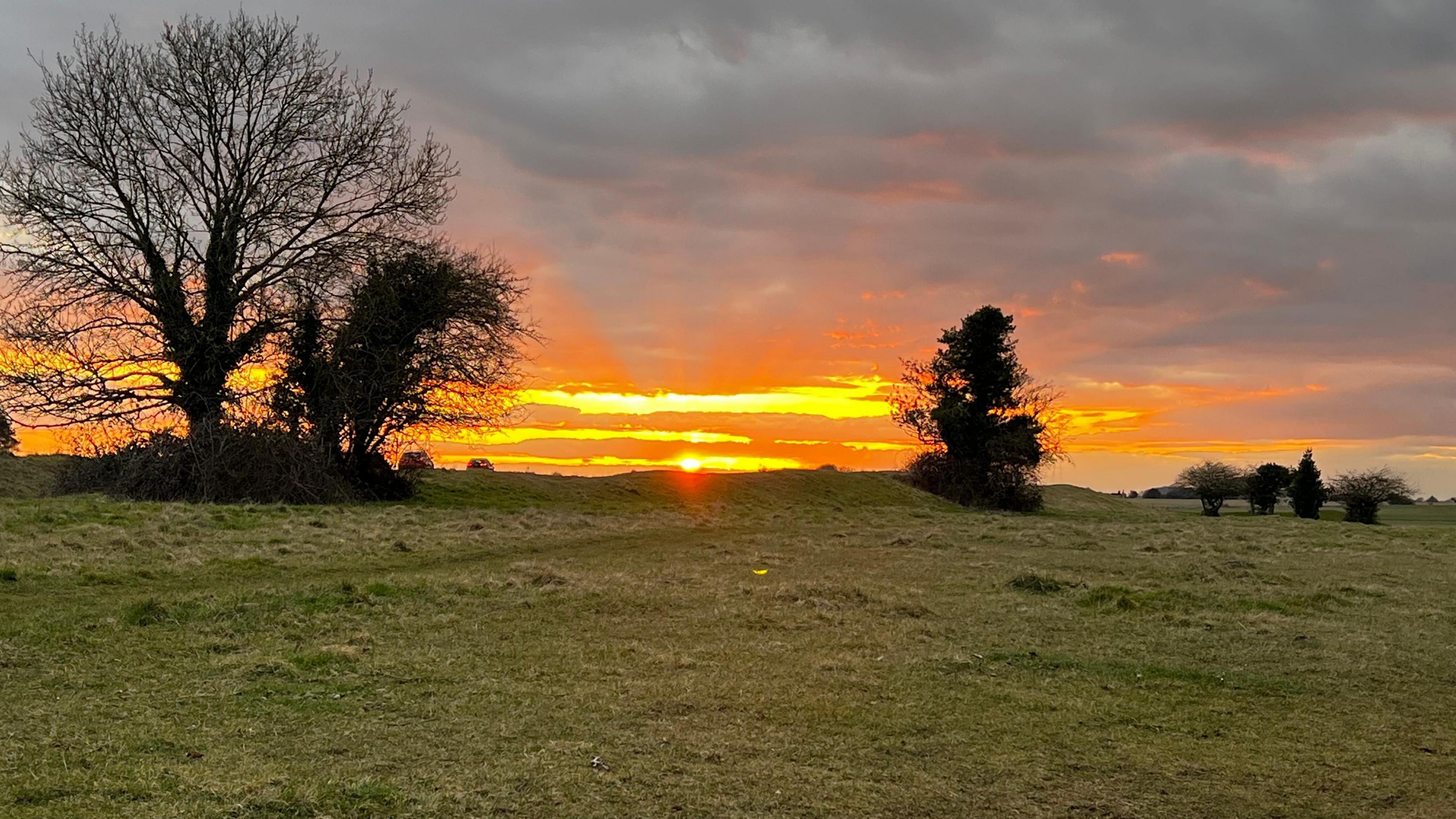 Sunset with lots of green space and trees that are cast in shadow.