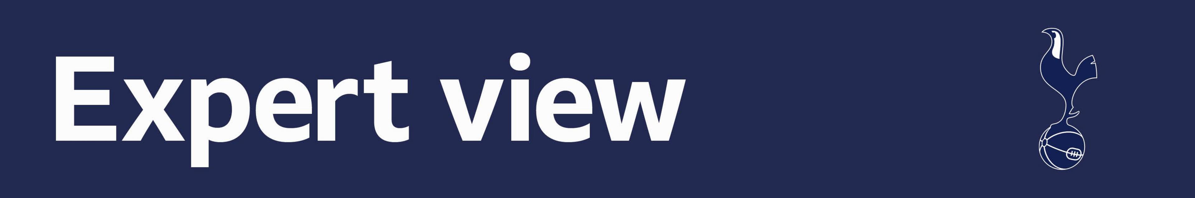 Tottenham expert view