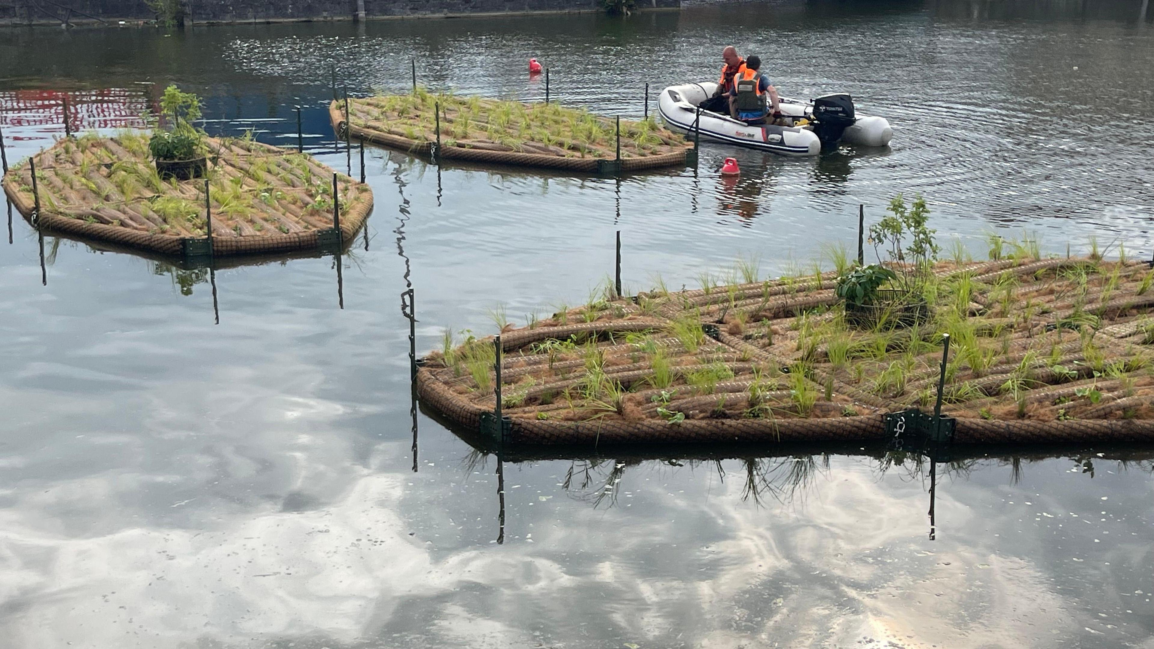 Three floating platform in the water, covered in plants.