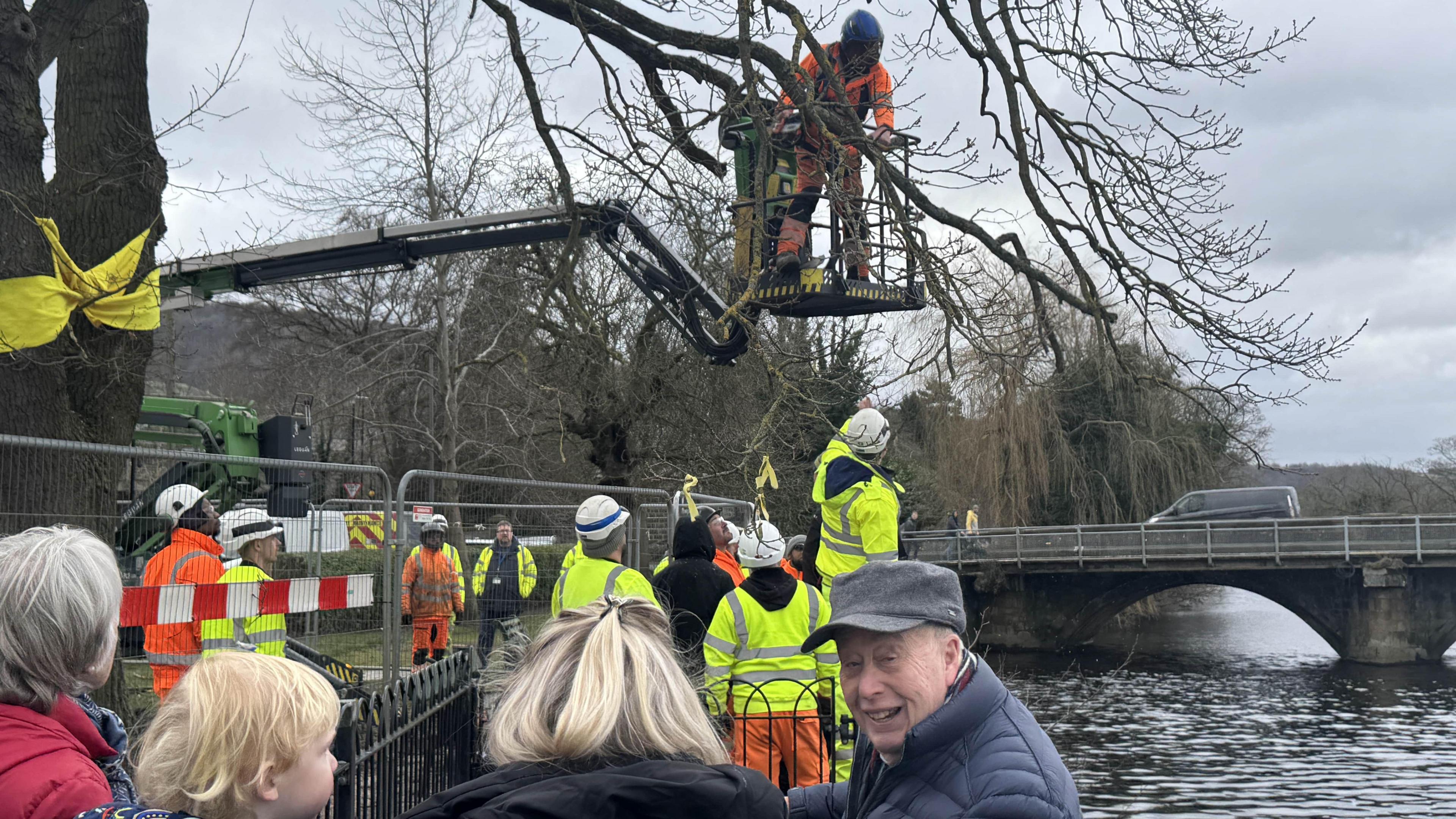 A group of people stand close to metal fencing that surrounds a tree. Men in hard hats and luminous jackets surround the tree.