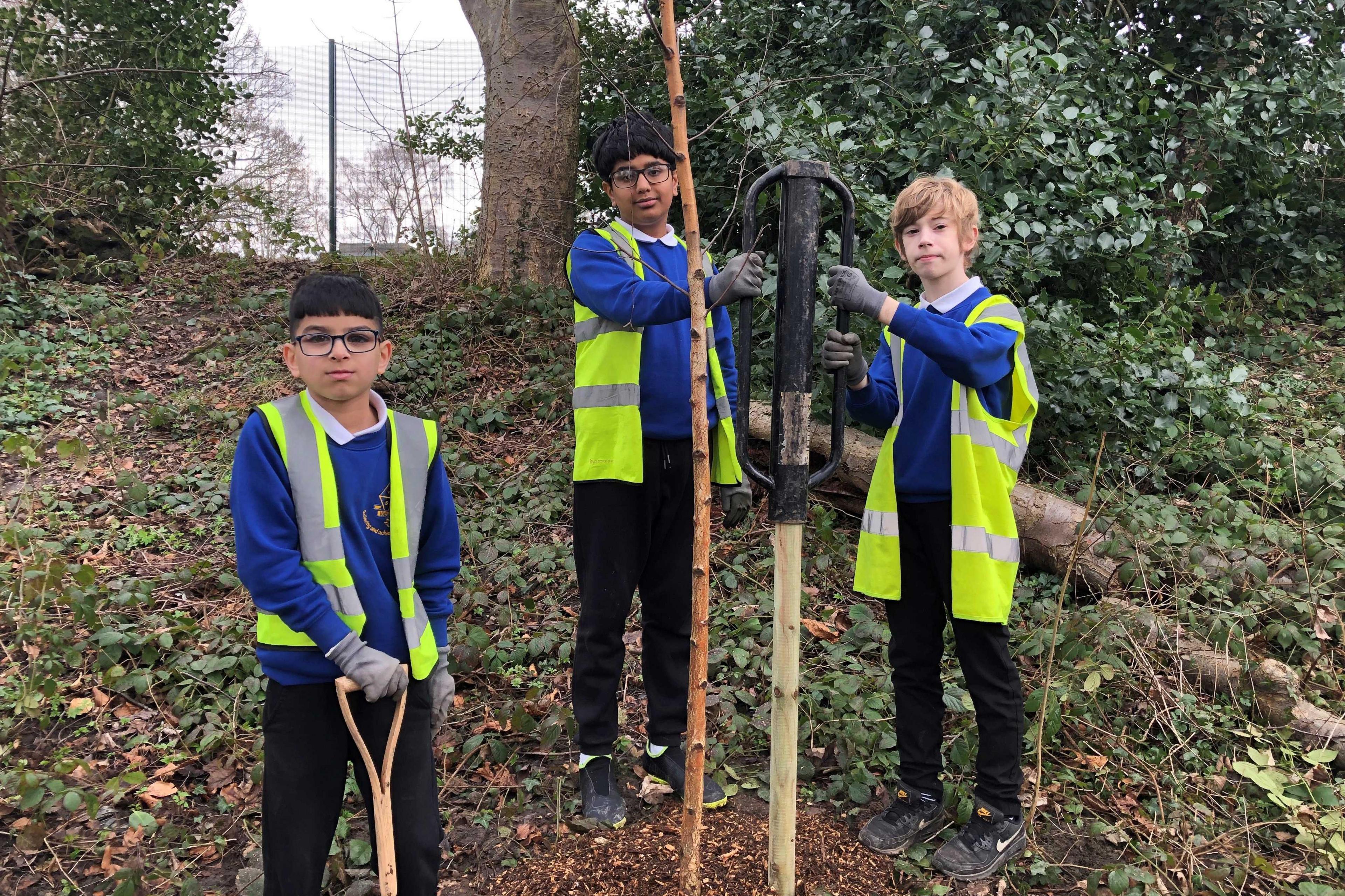 Three children in blue pullovers and black trousers, the boy on the right is holding a spade while the other two stand beside a newly planted tree