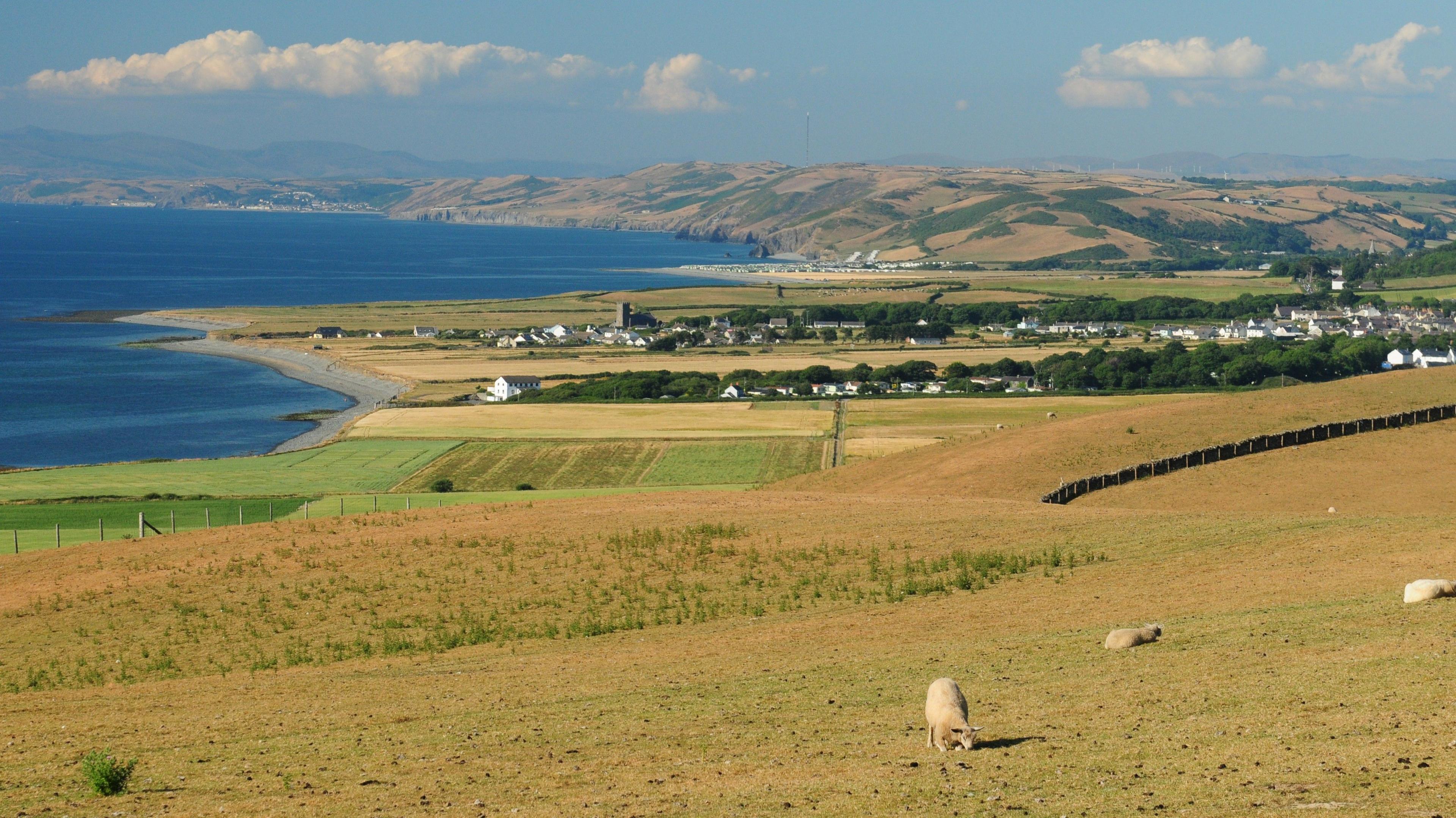 ardal Aberaeron yn 2024