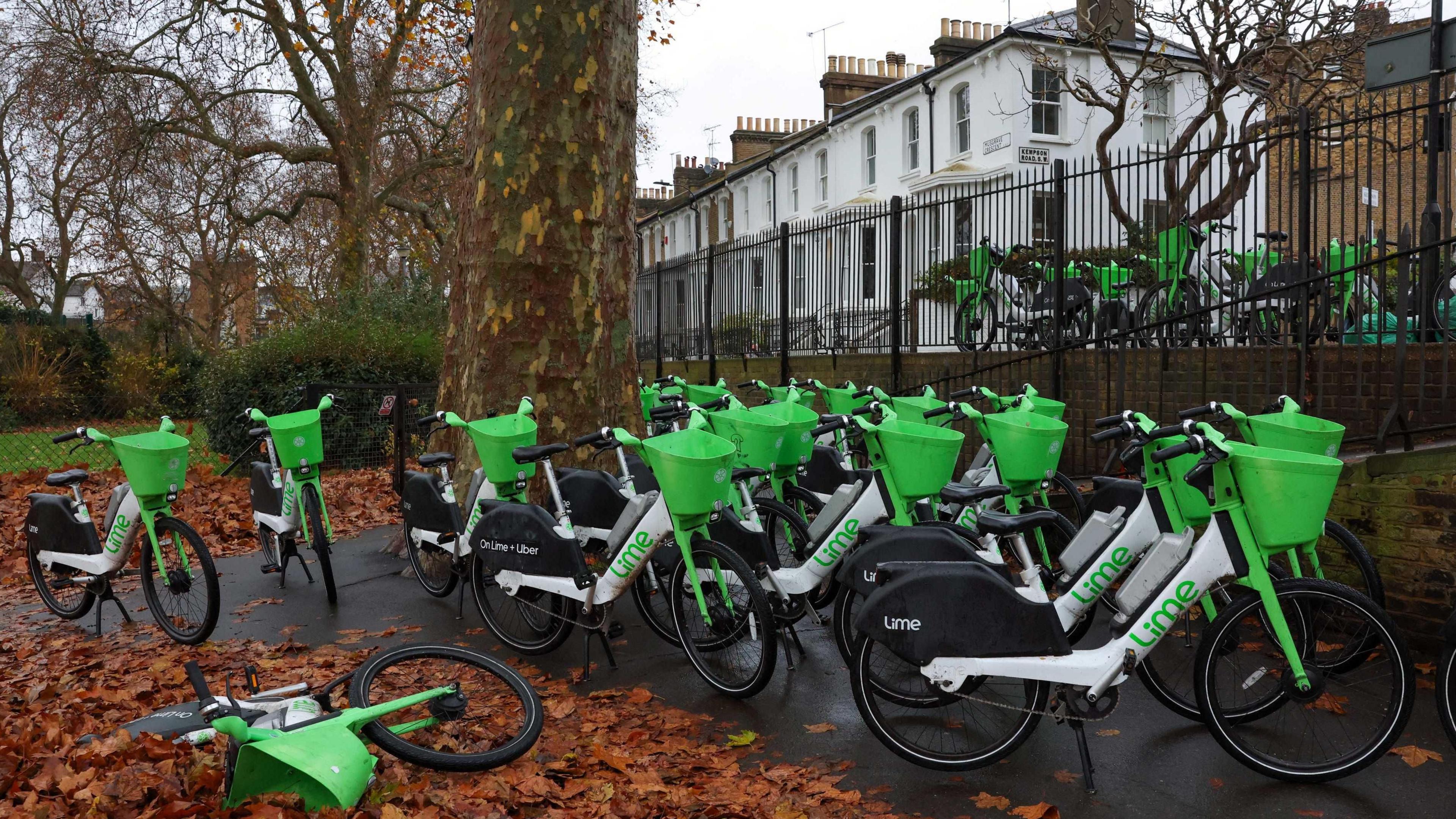 A park in autumn with orange leaves on the ground and around a dozen green hire bikes clustered together. One bike is on its side on the ground. In the background is a row of white Victorian houses and more green hire bikes on the pavement.  